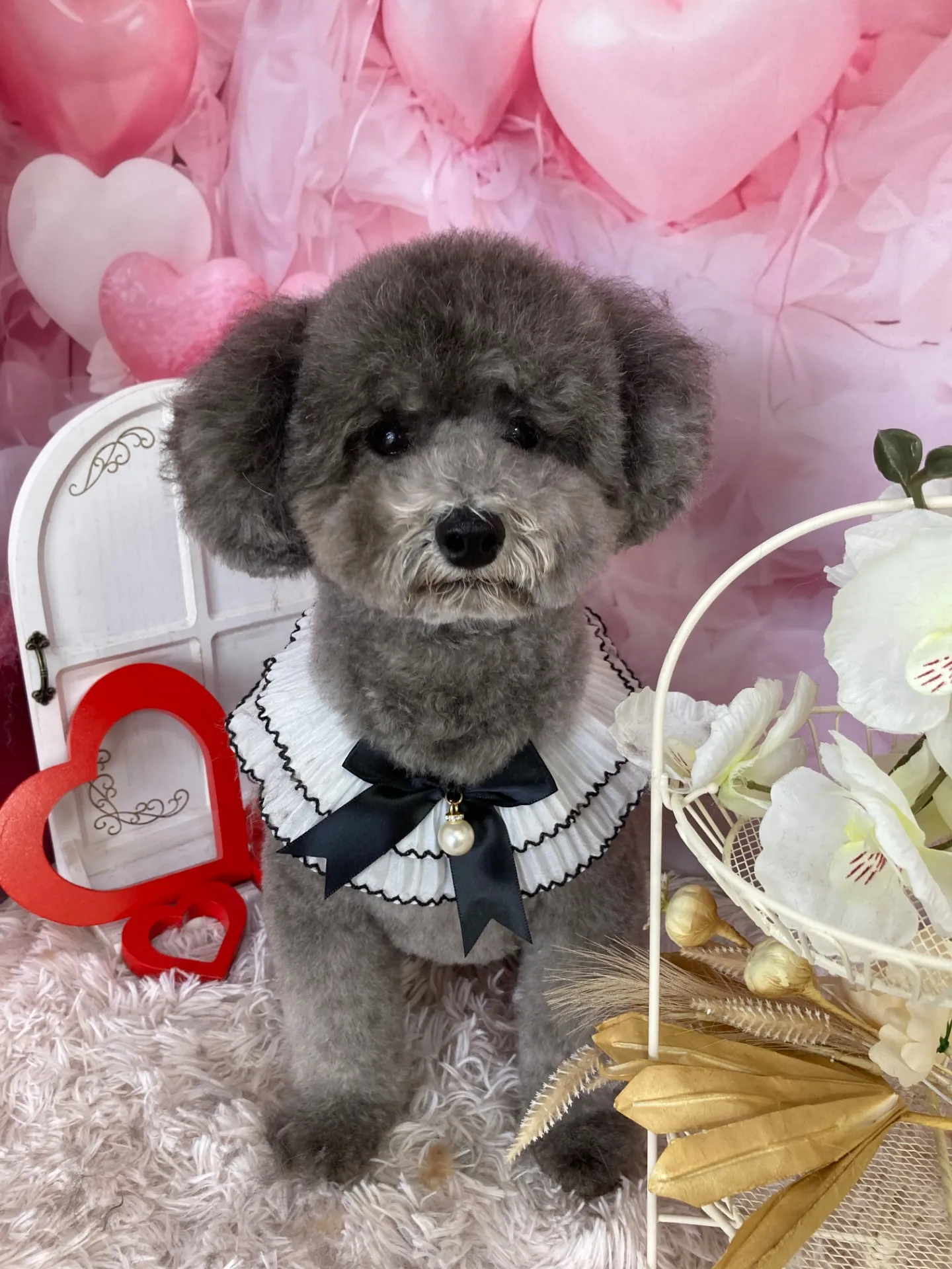 ラズベリーちゃん