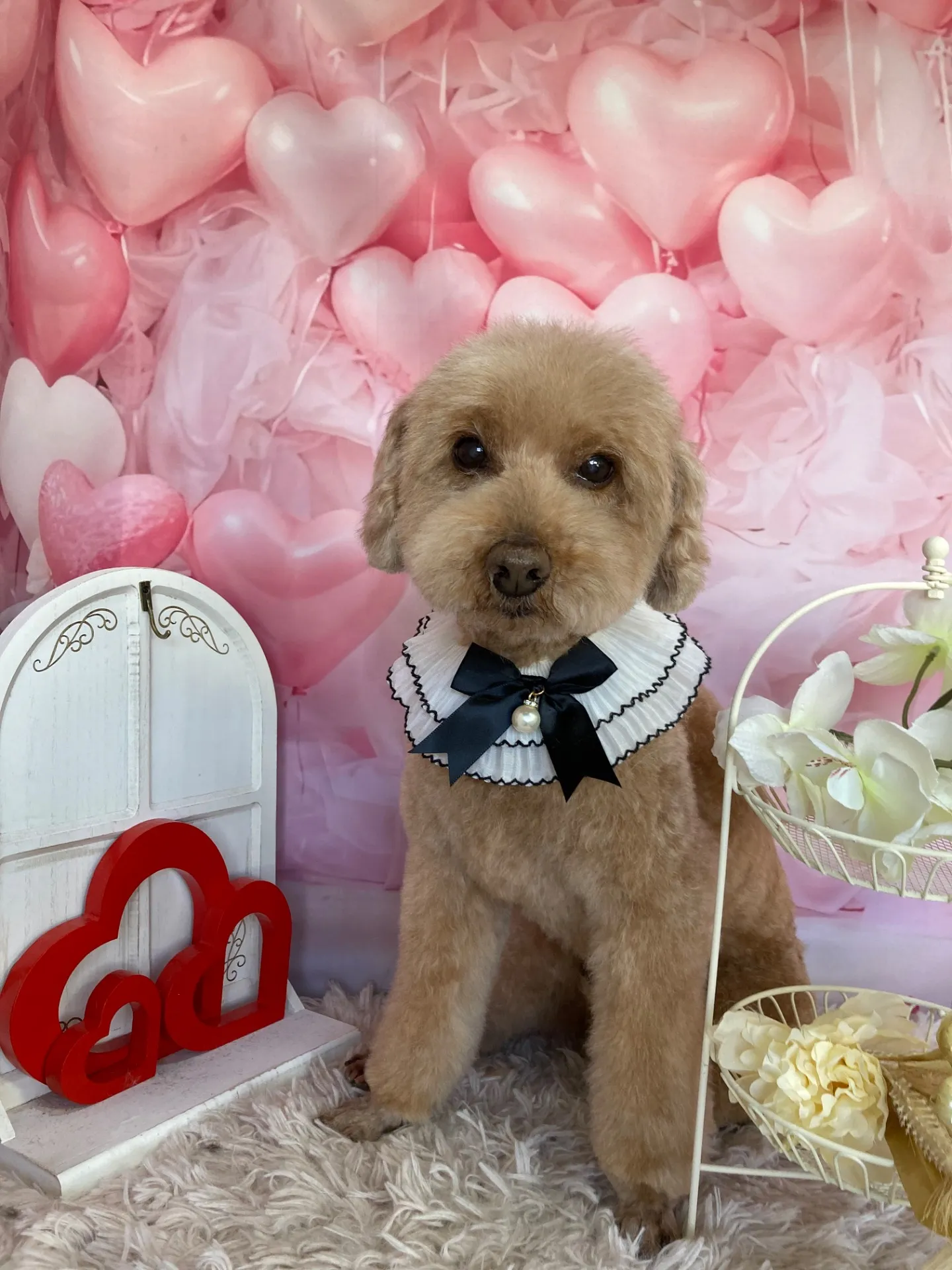 メロディちゃん