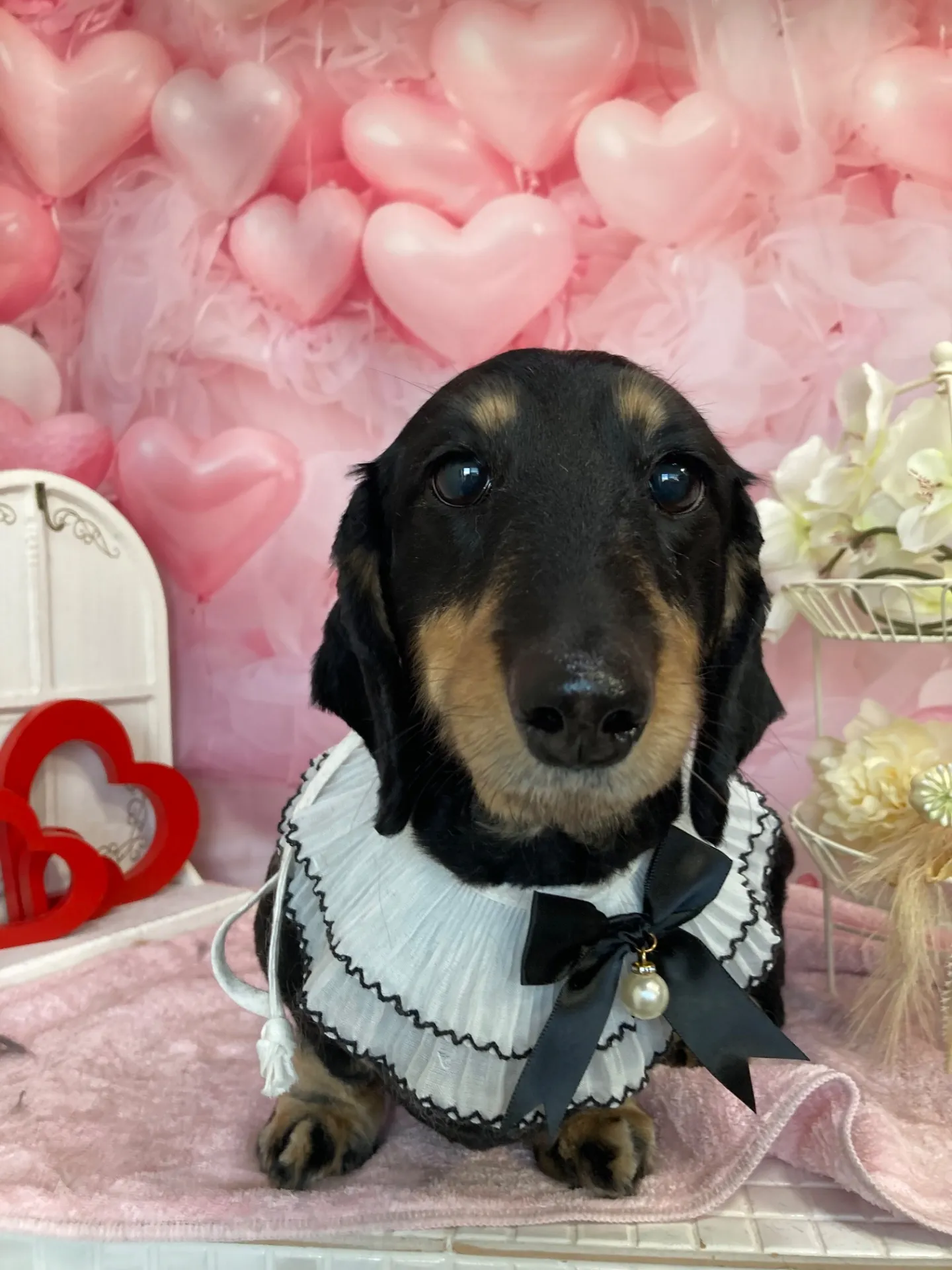 ルーシーちゃん