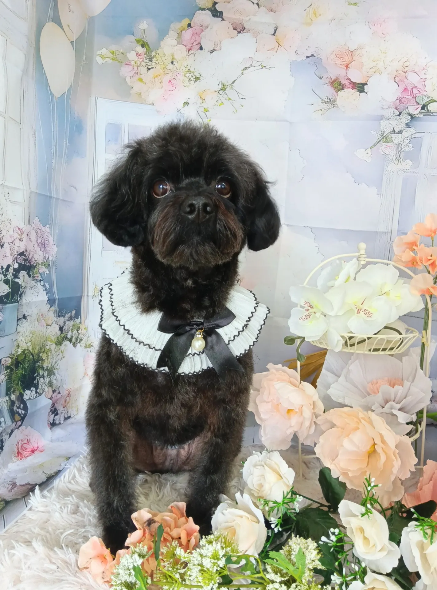 リュウノスケくん