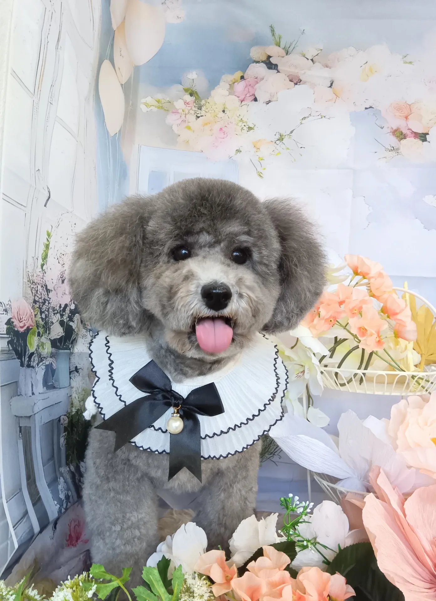 ラズベリーちゃん