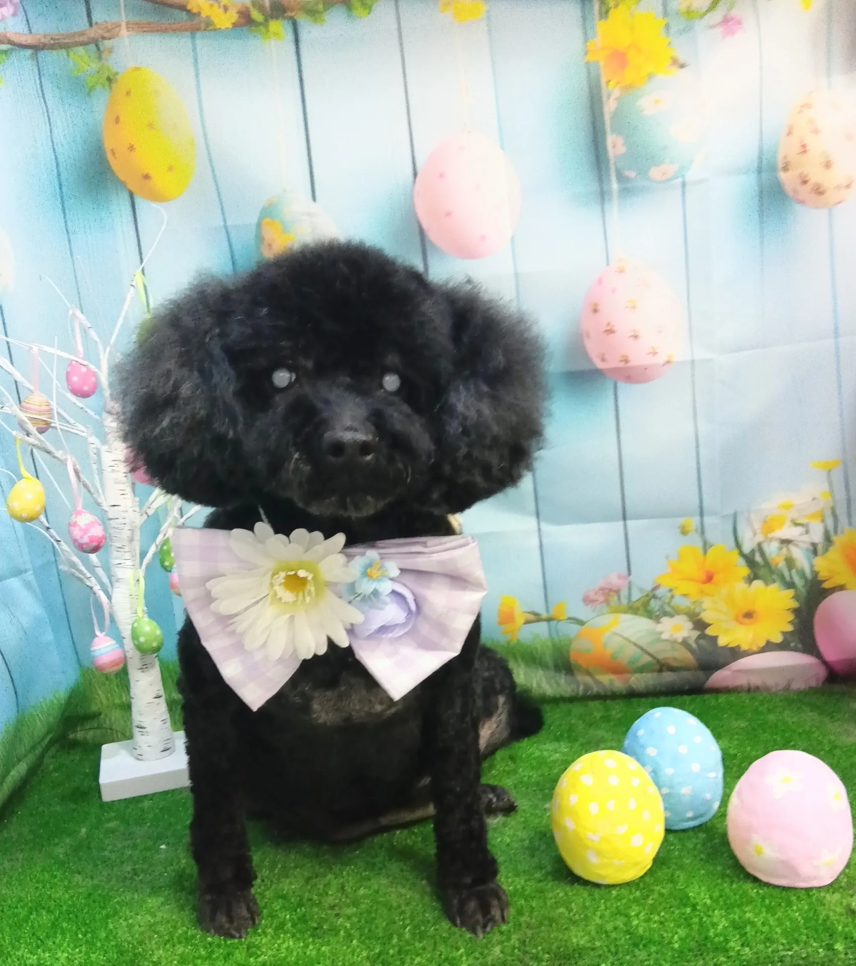 ナタリーちゃん