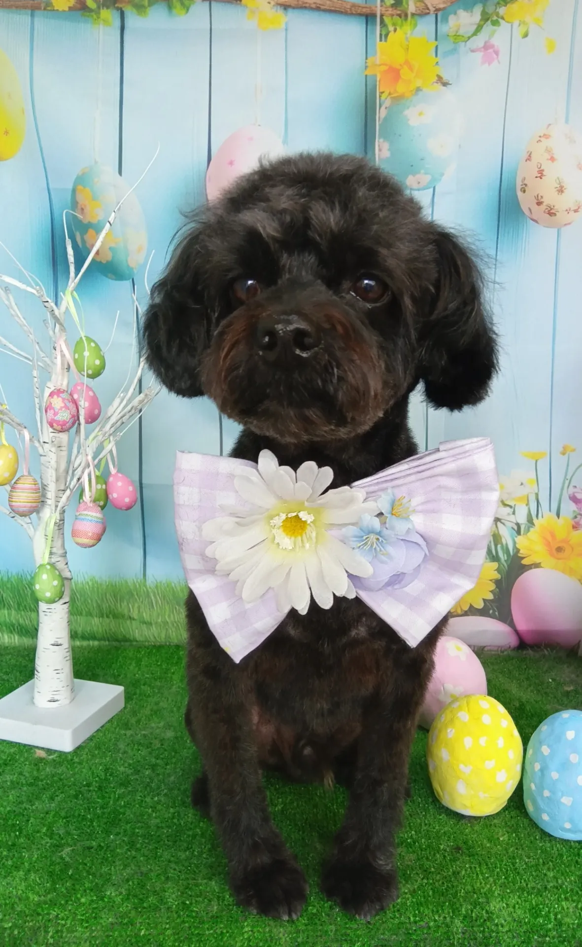 リュウノスケくん