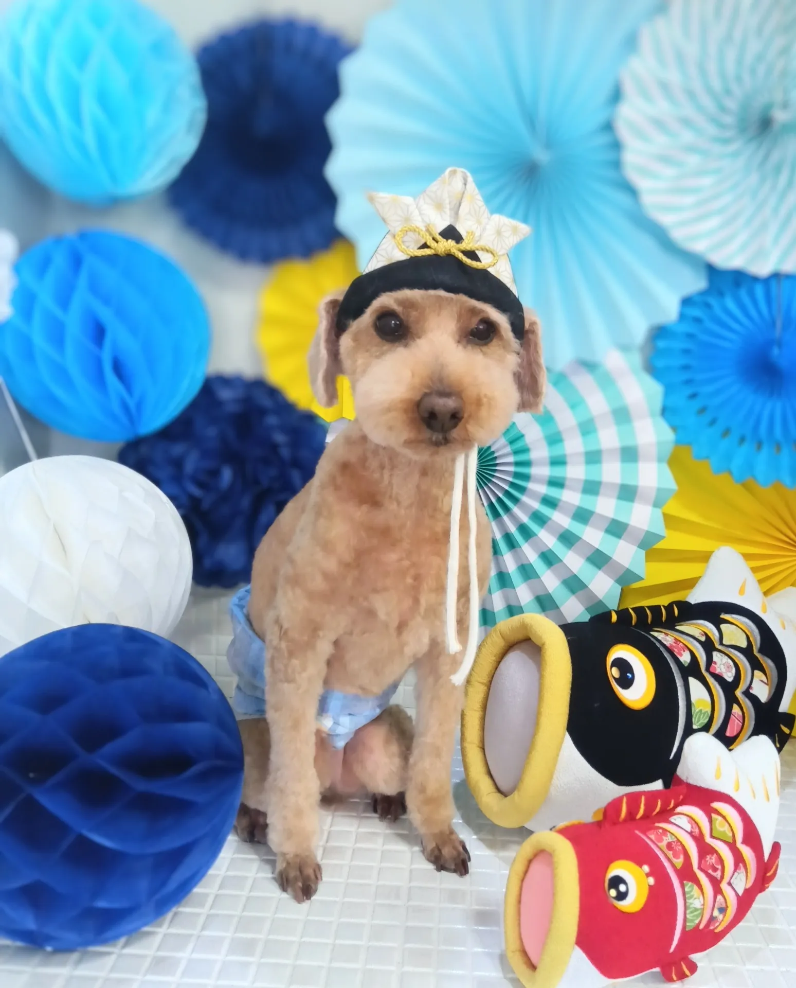 メロディーくん