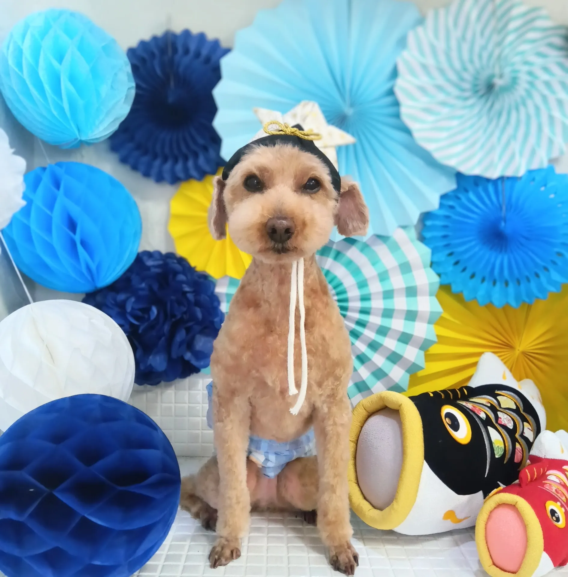 メロディーくん