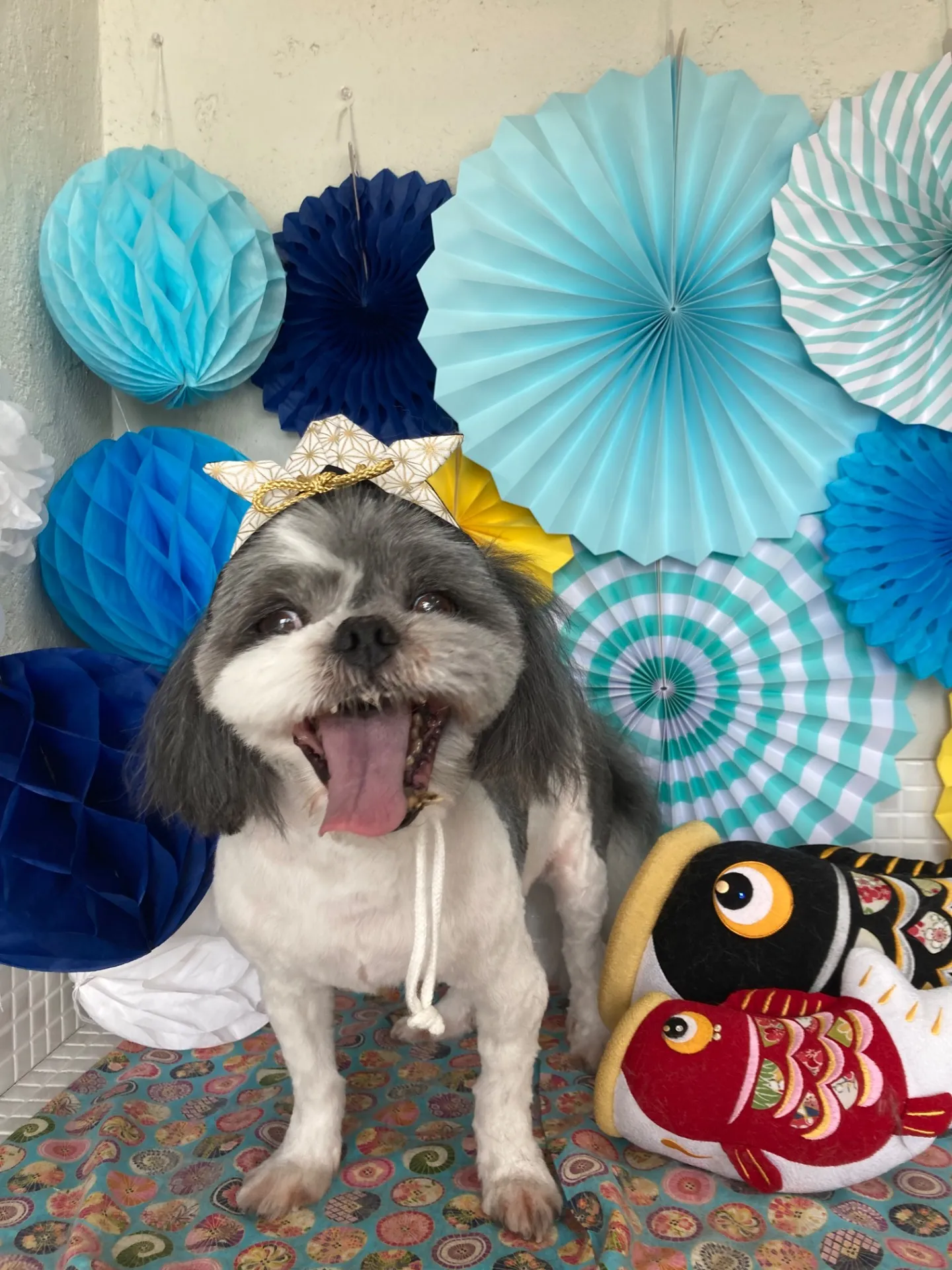 シンタロウくん