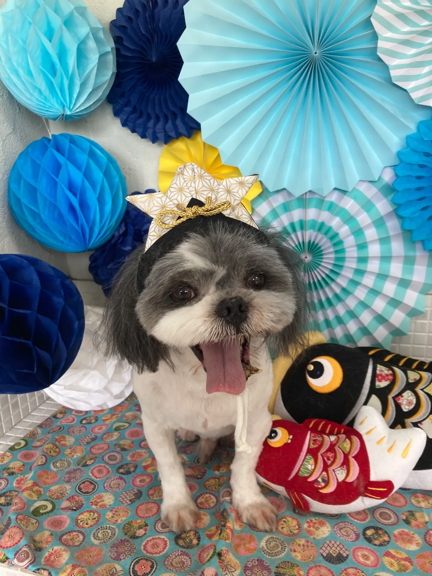 シンタロウくん