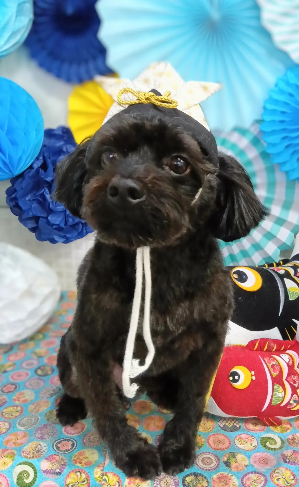 リュウノスケくん