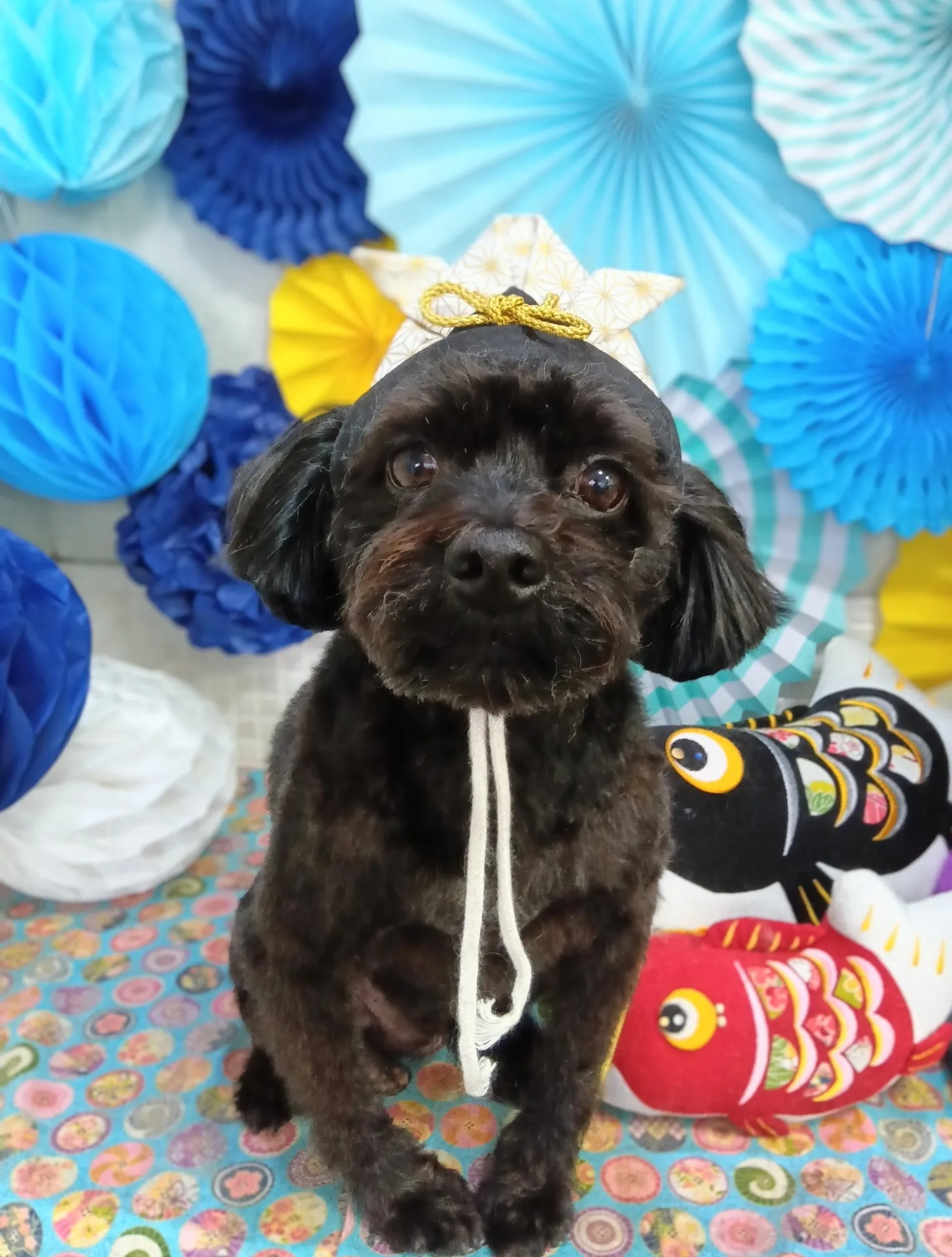 リュウノスケくん