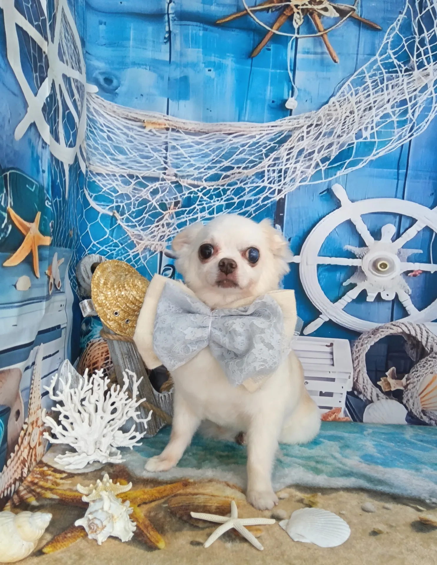 アレックスくん