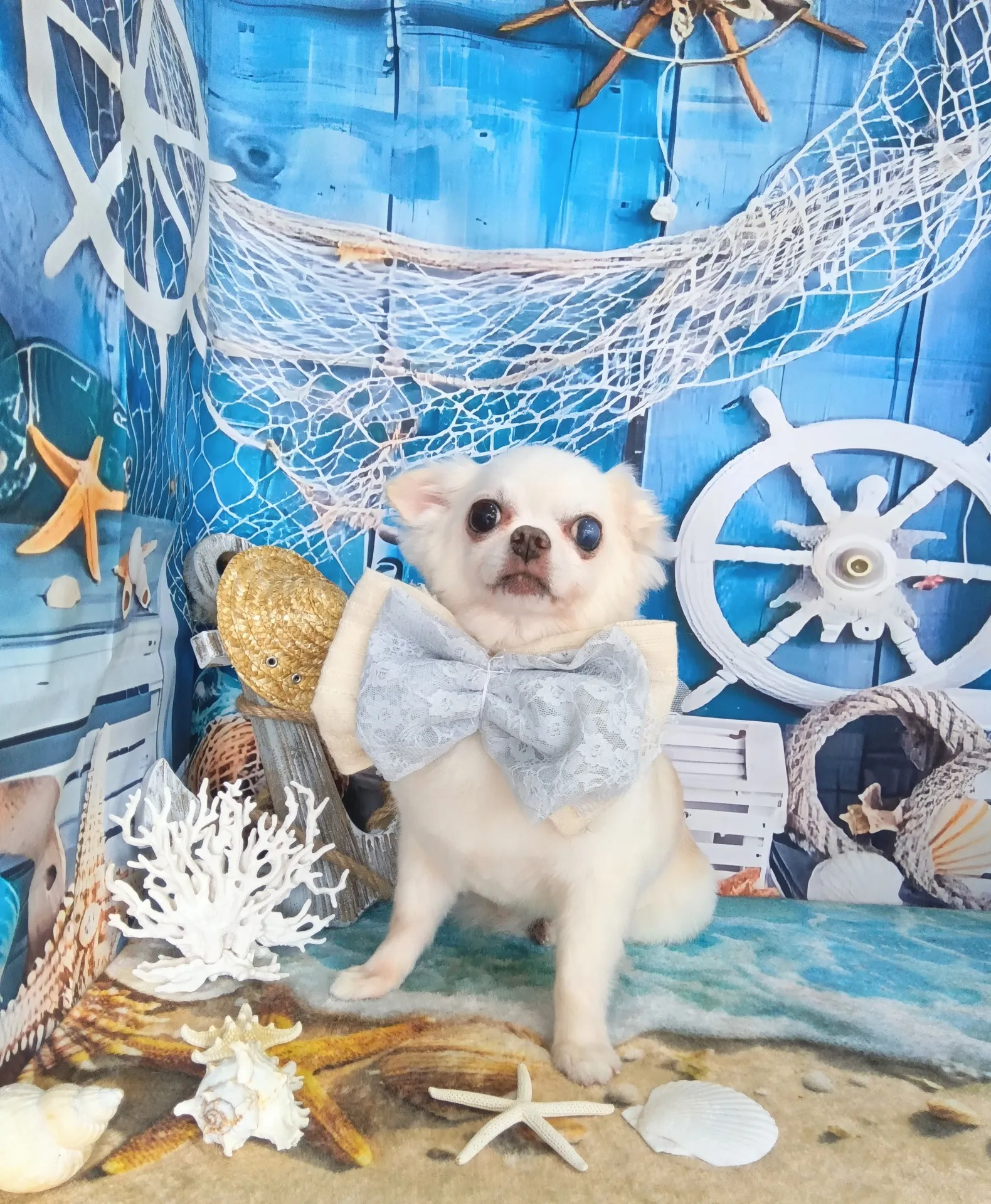 アレックスくん