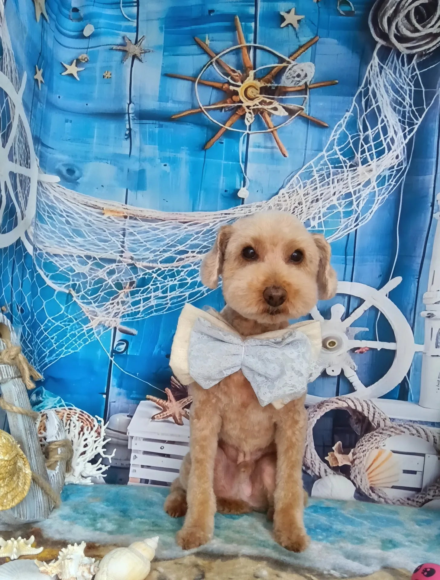 メロディーくん