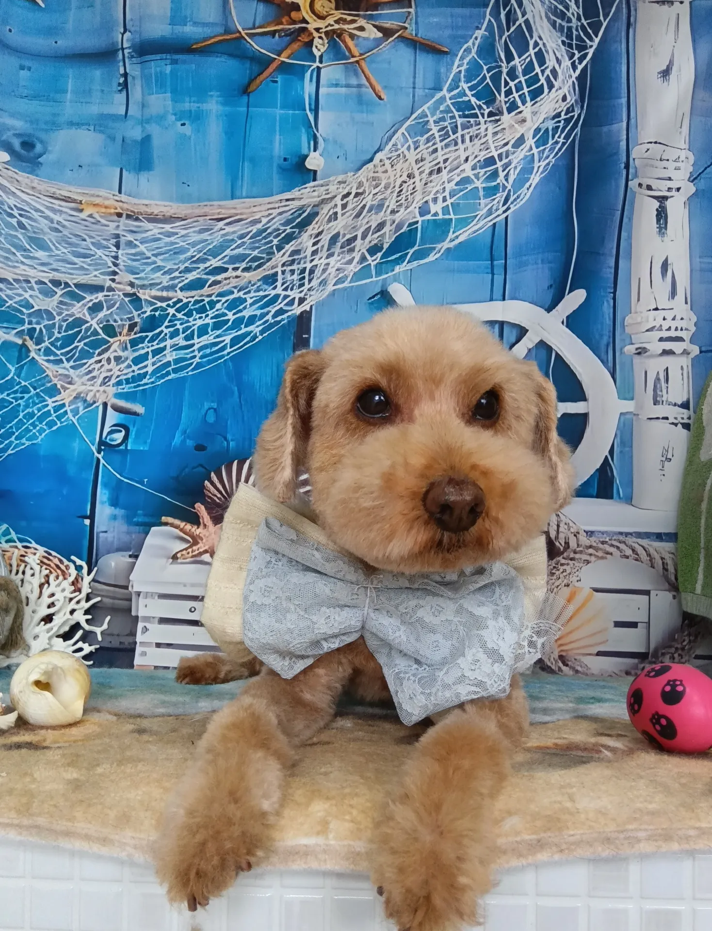 メロディーくん