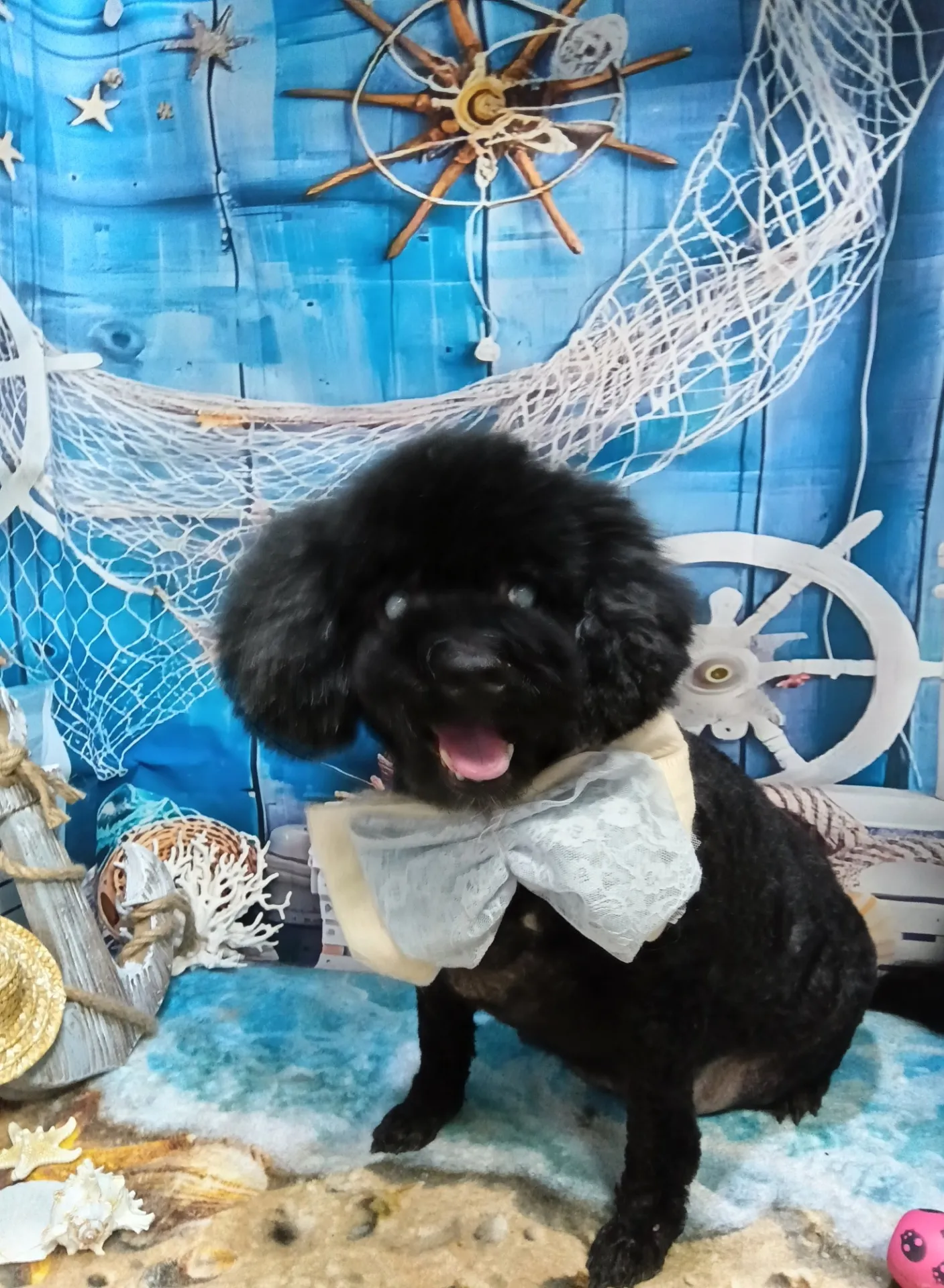 ナタリーちゃん