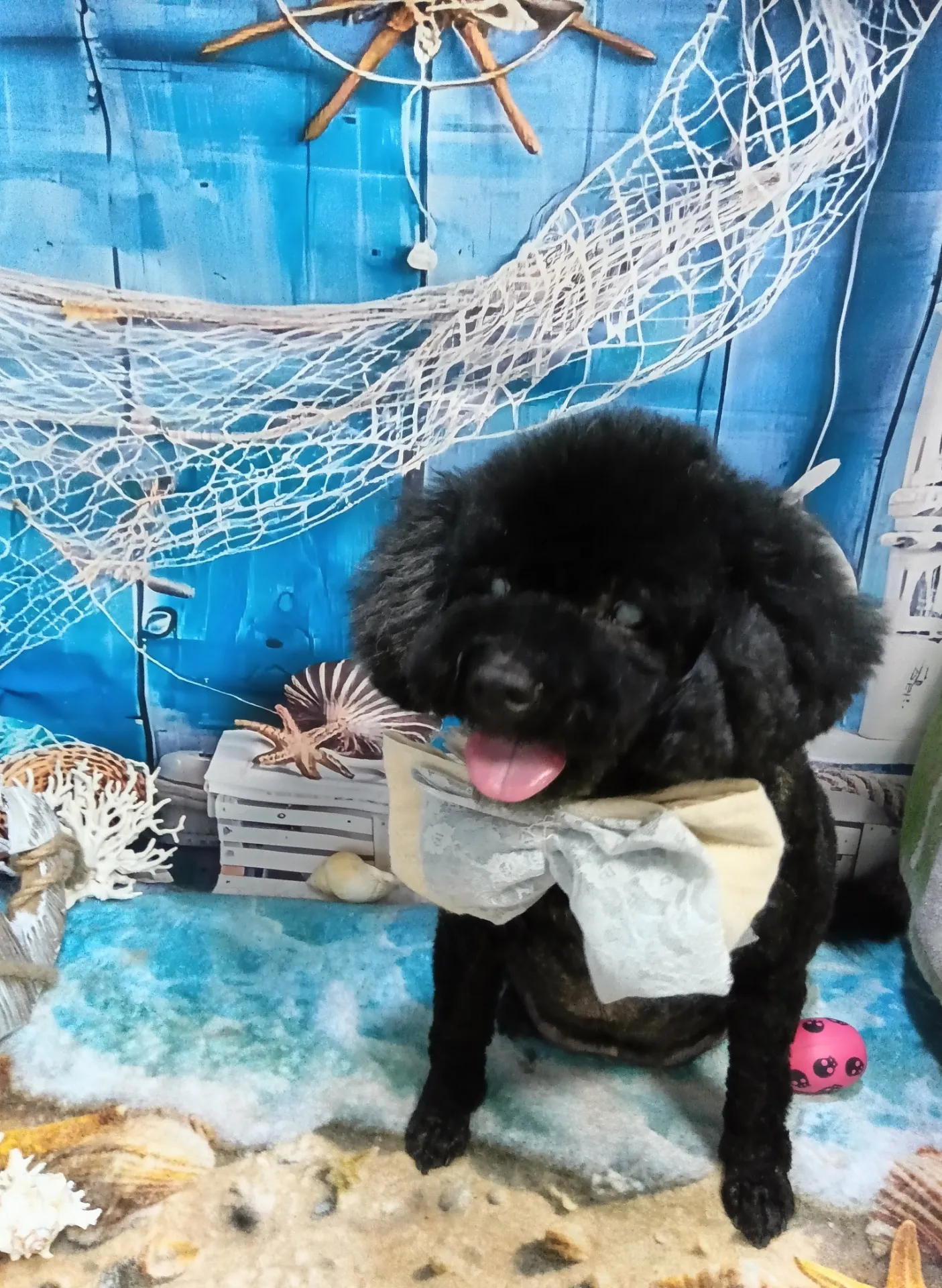 ナタリーちゃん