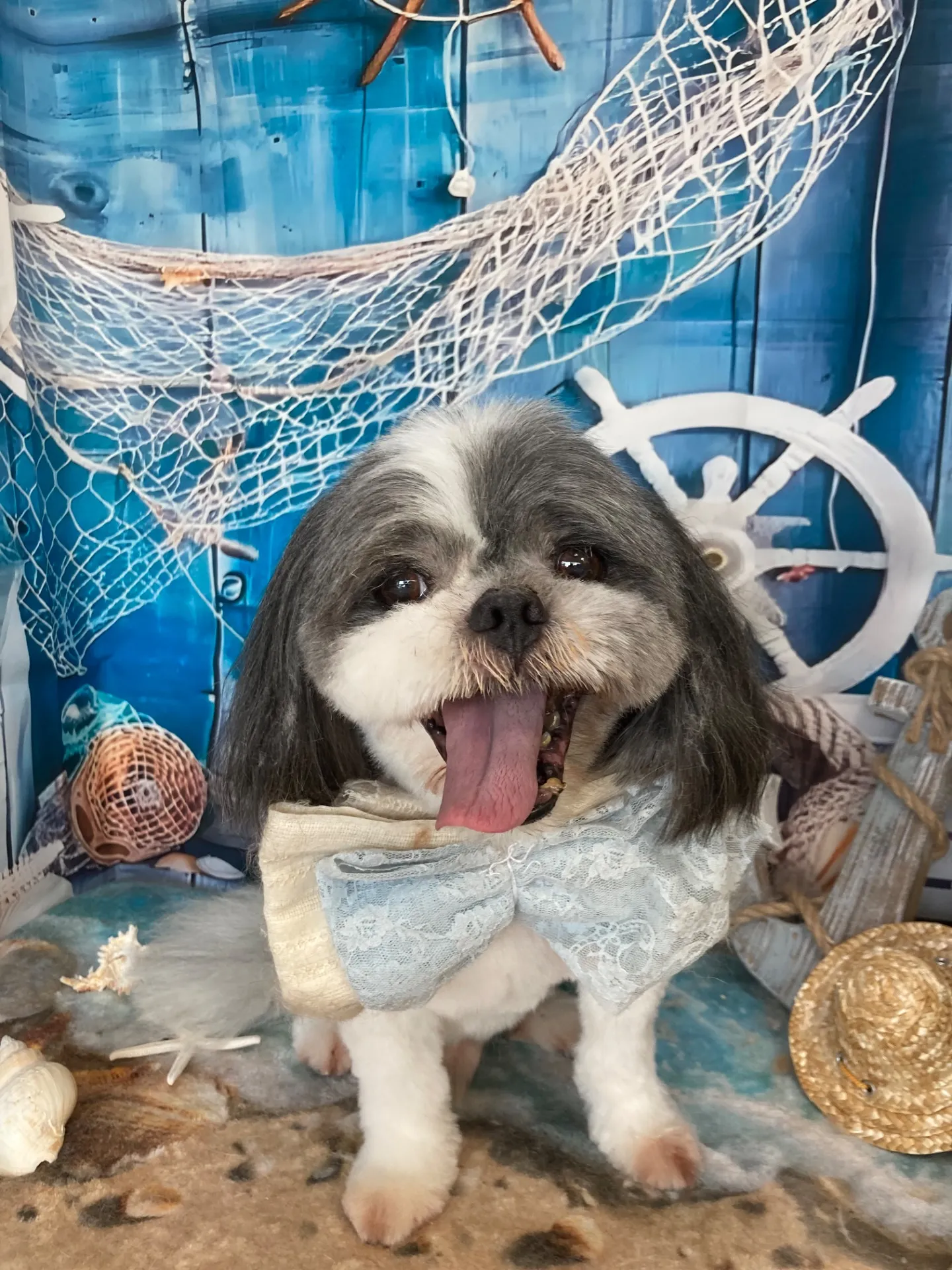 シンタロウくん