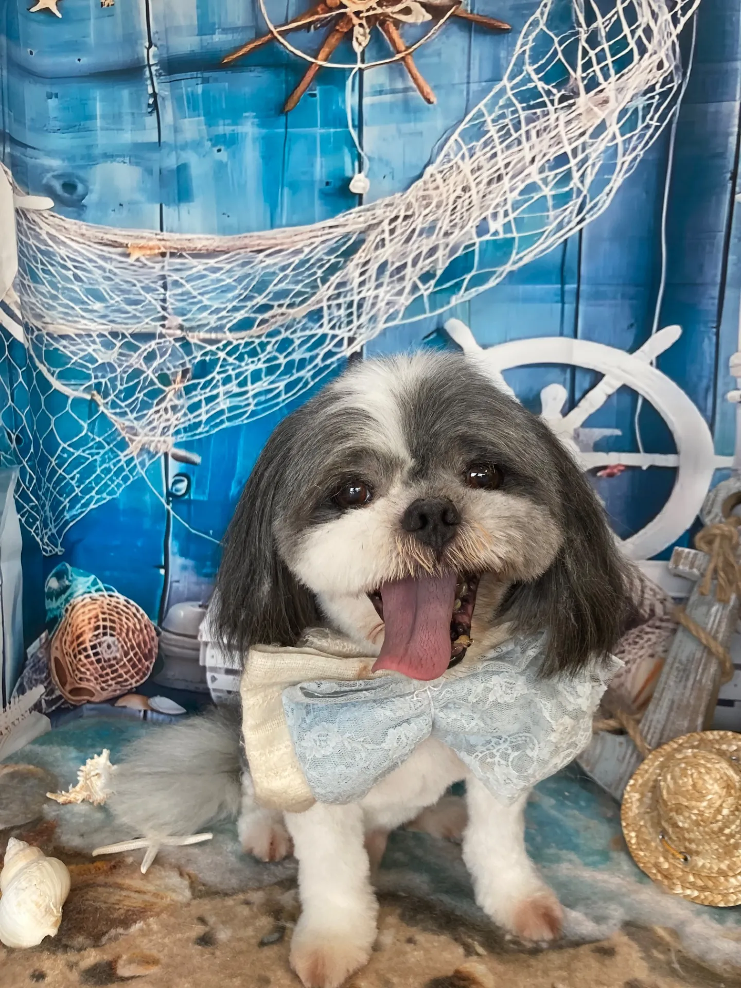 シンタロウくん