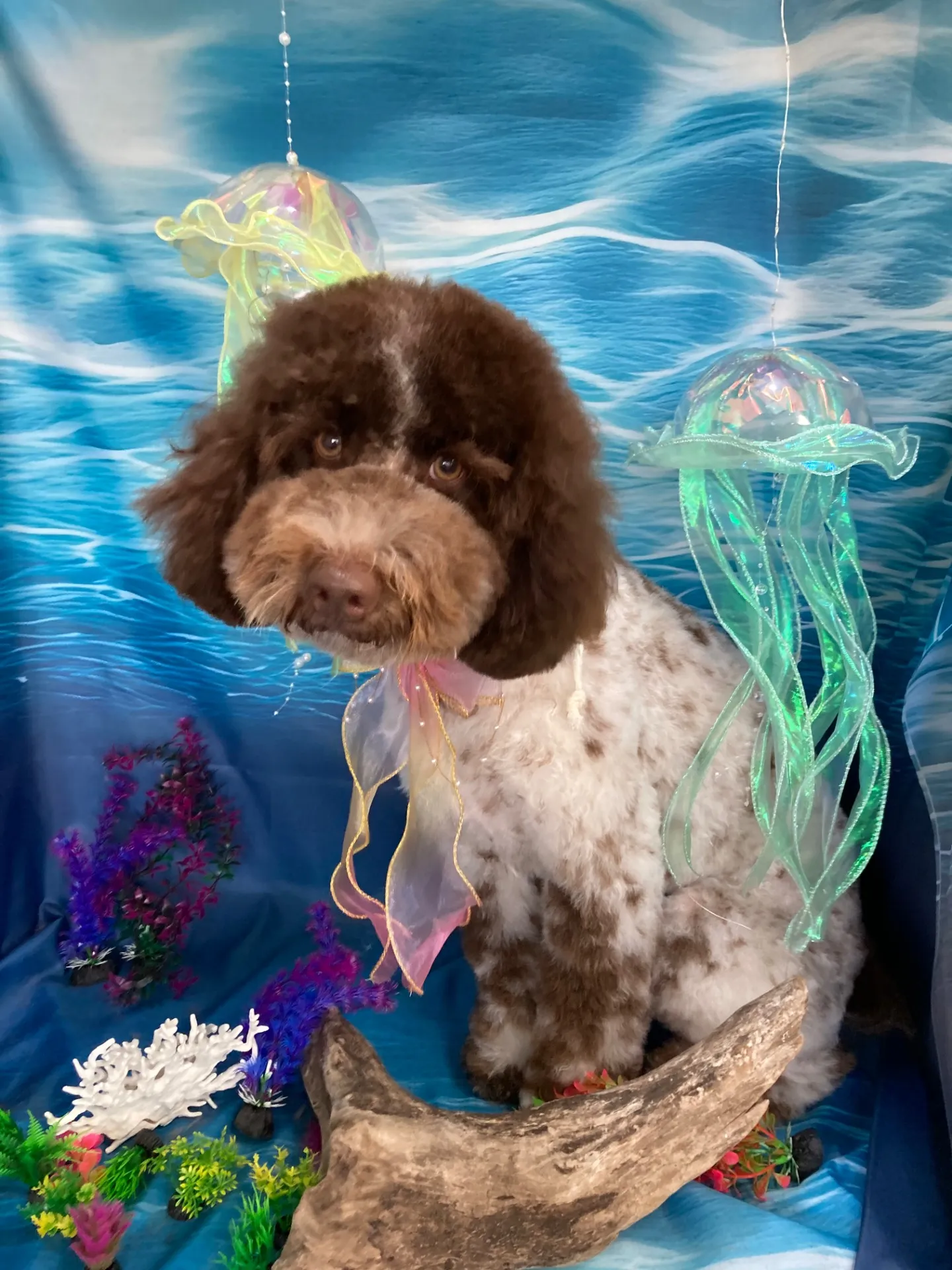 テンテンちゃん