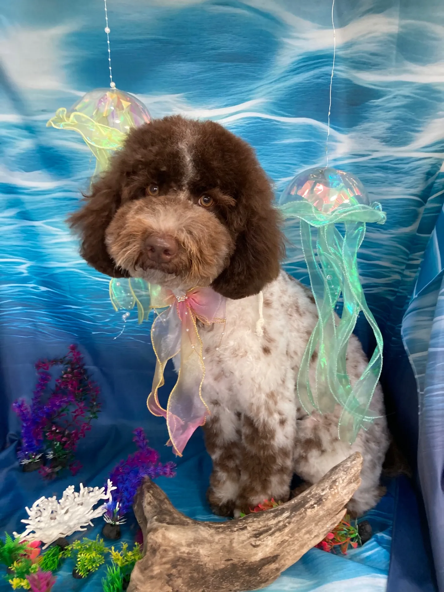 テンテンちゃん