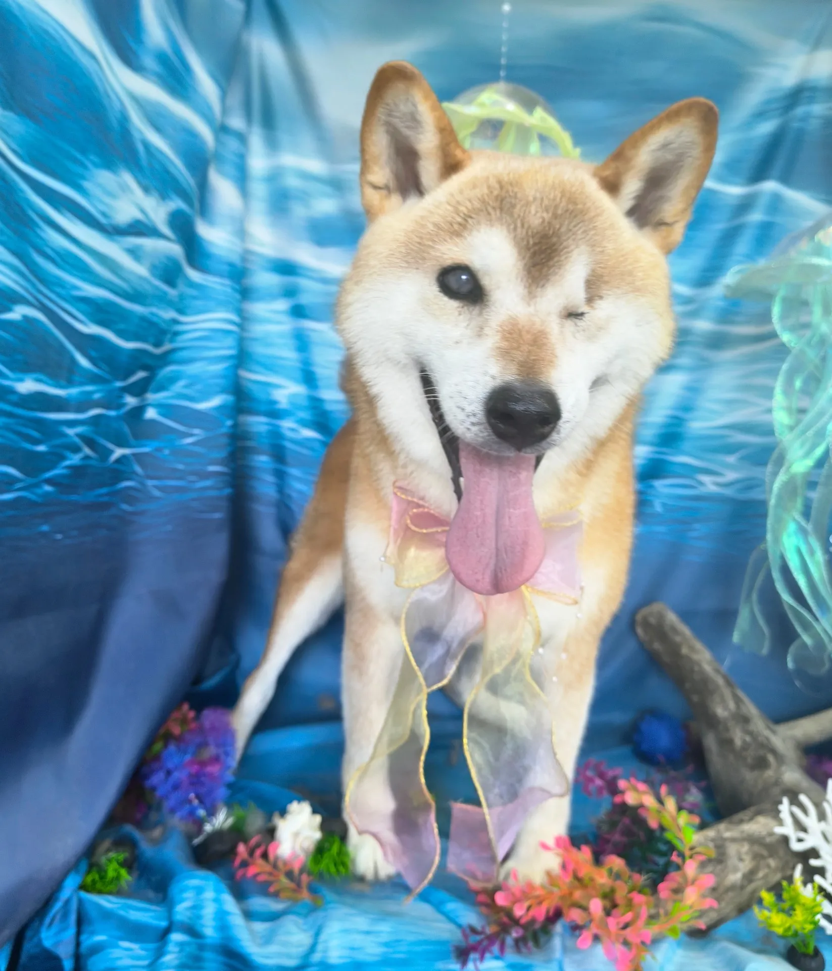 マルノスケくん