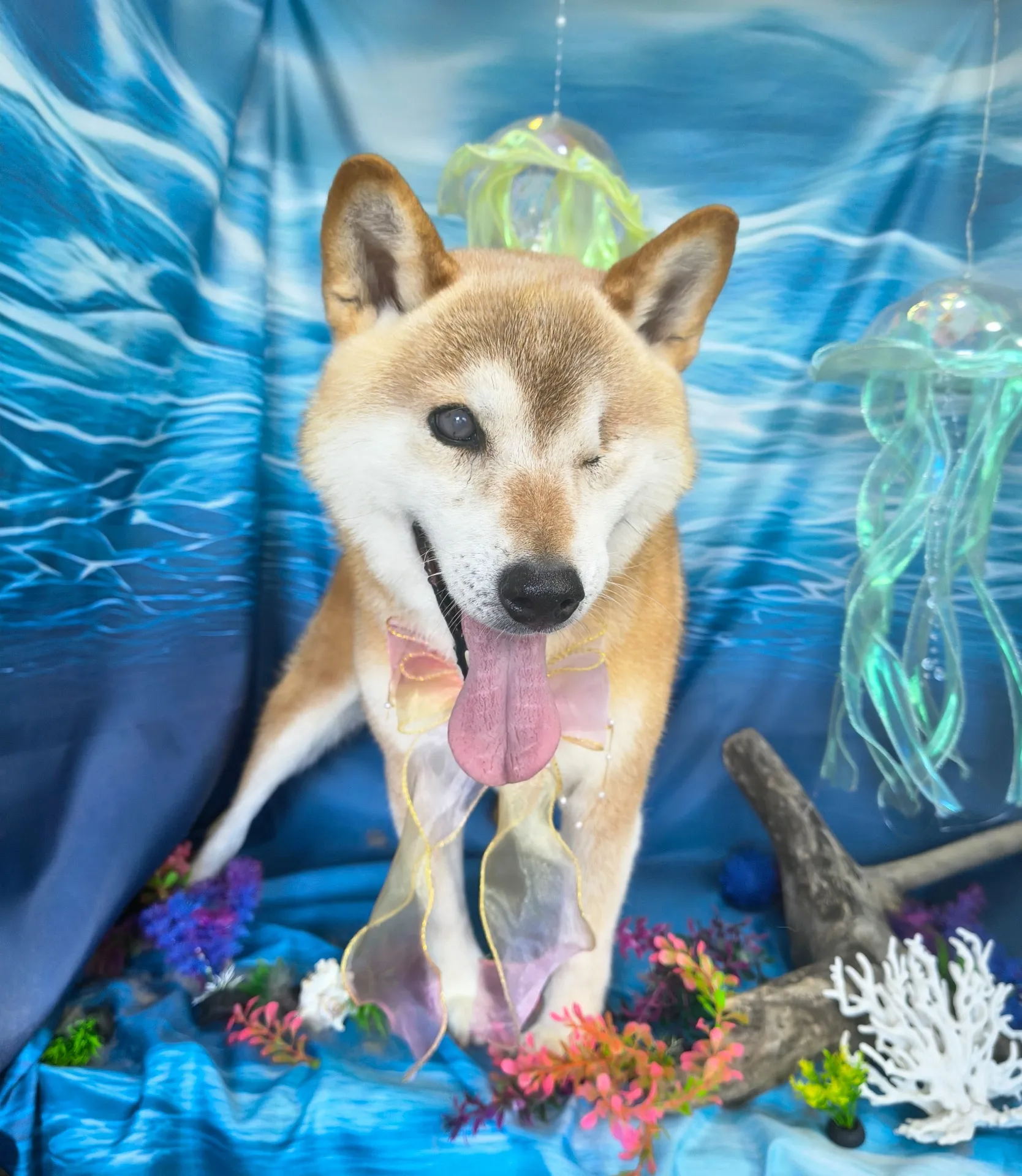 マルノスケくん