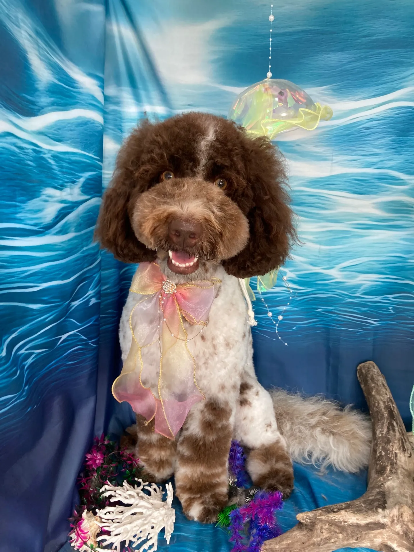 テンテンちゃん