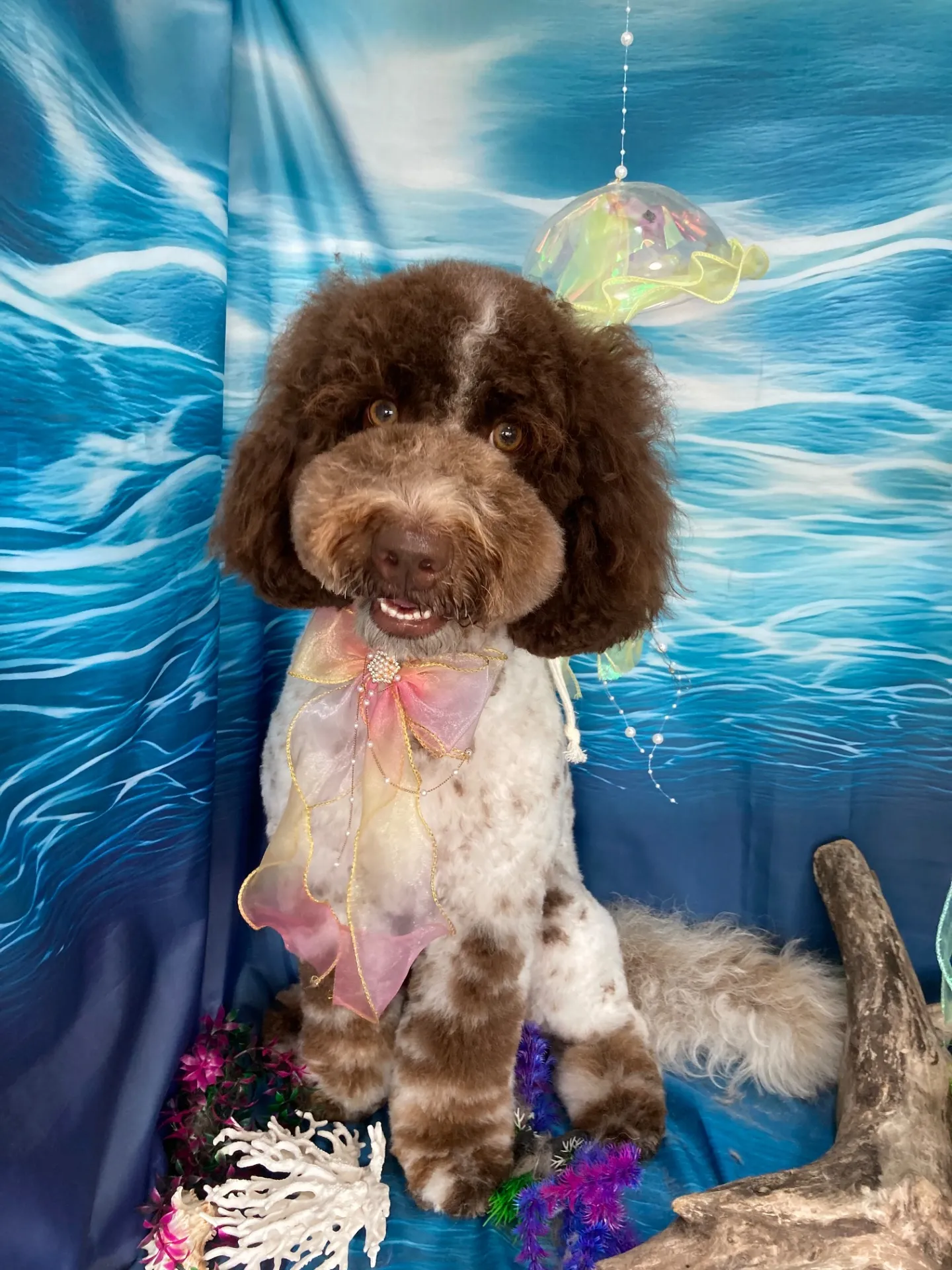 テンテンちゃん