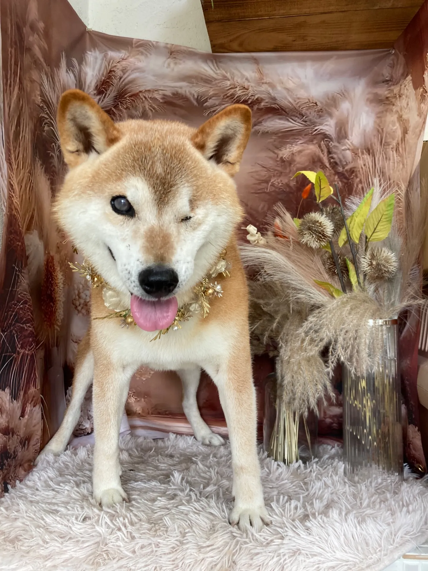 マルノスケくん