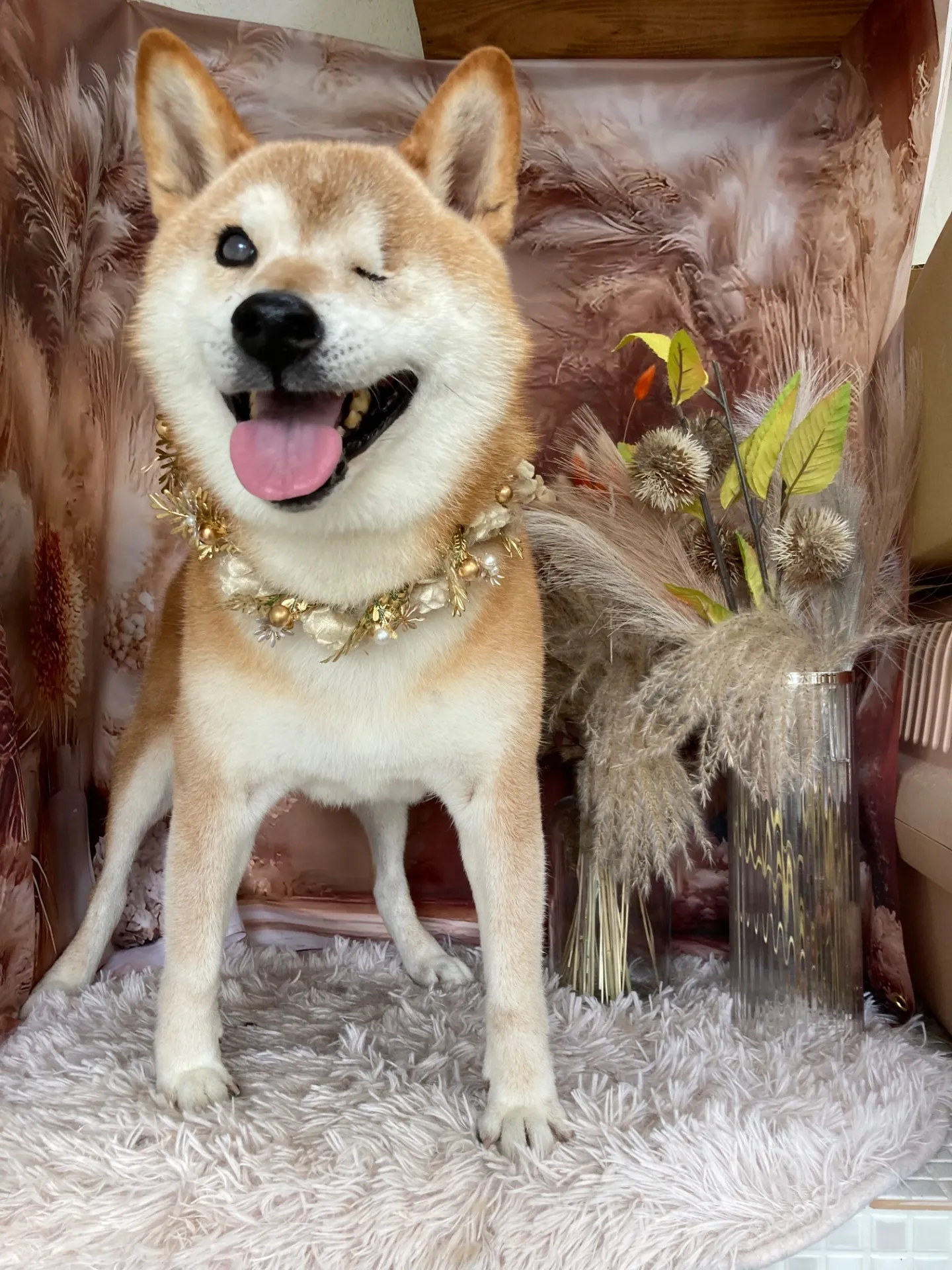 マルノスケくん