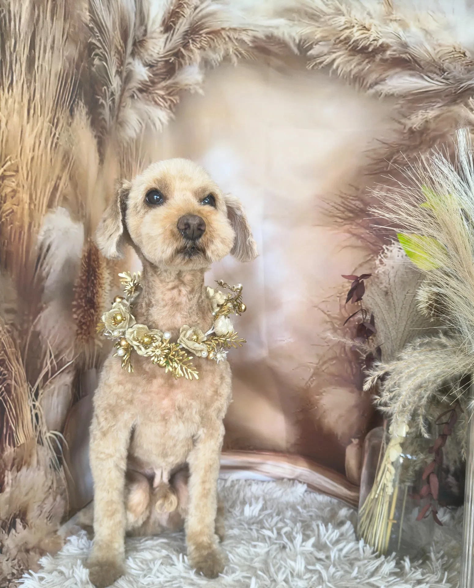 メロディーくん