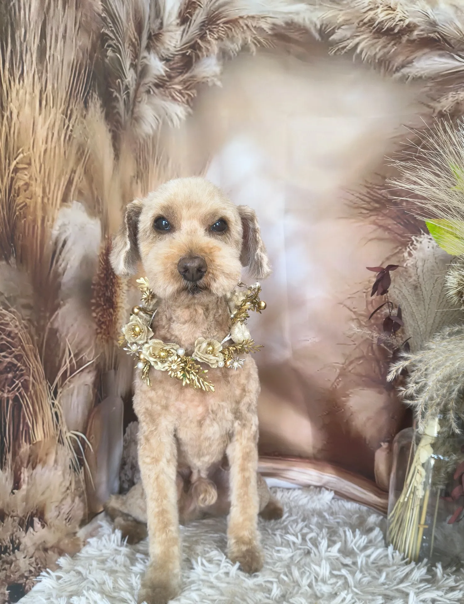 メロディーくん