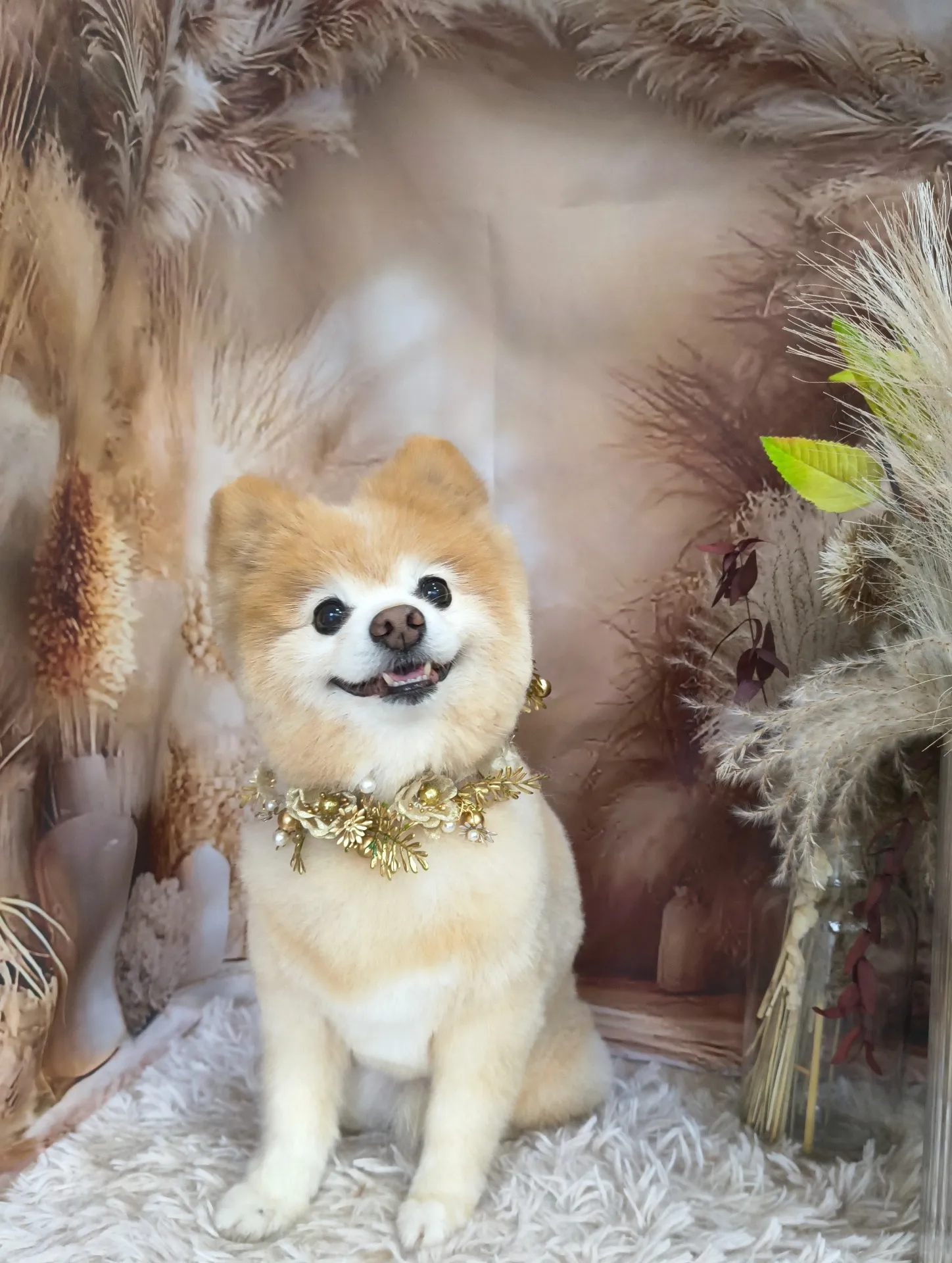 クーくん