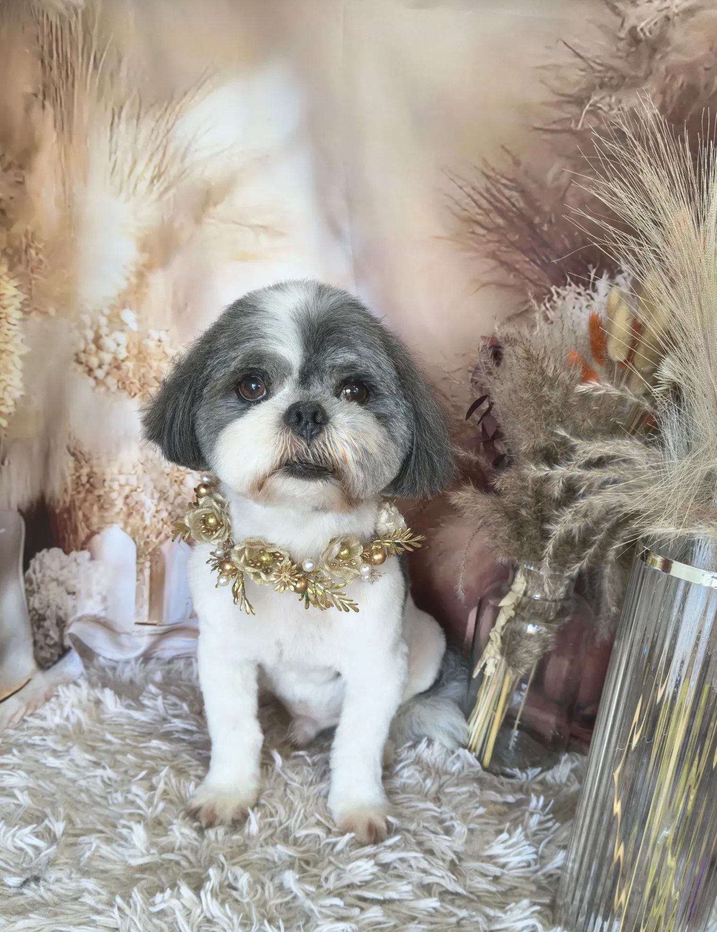 シンタロウくん