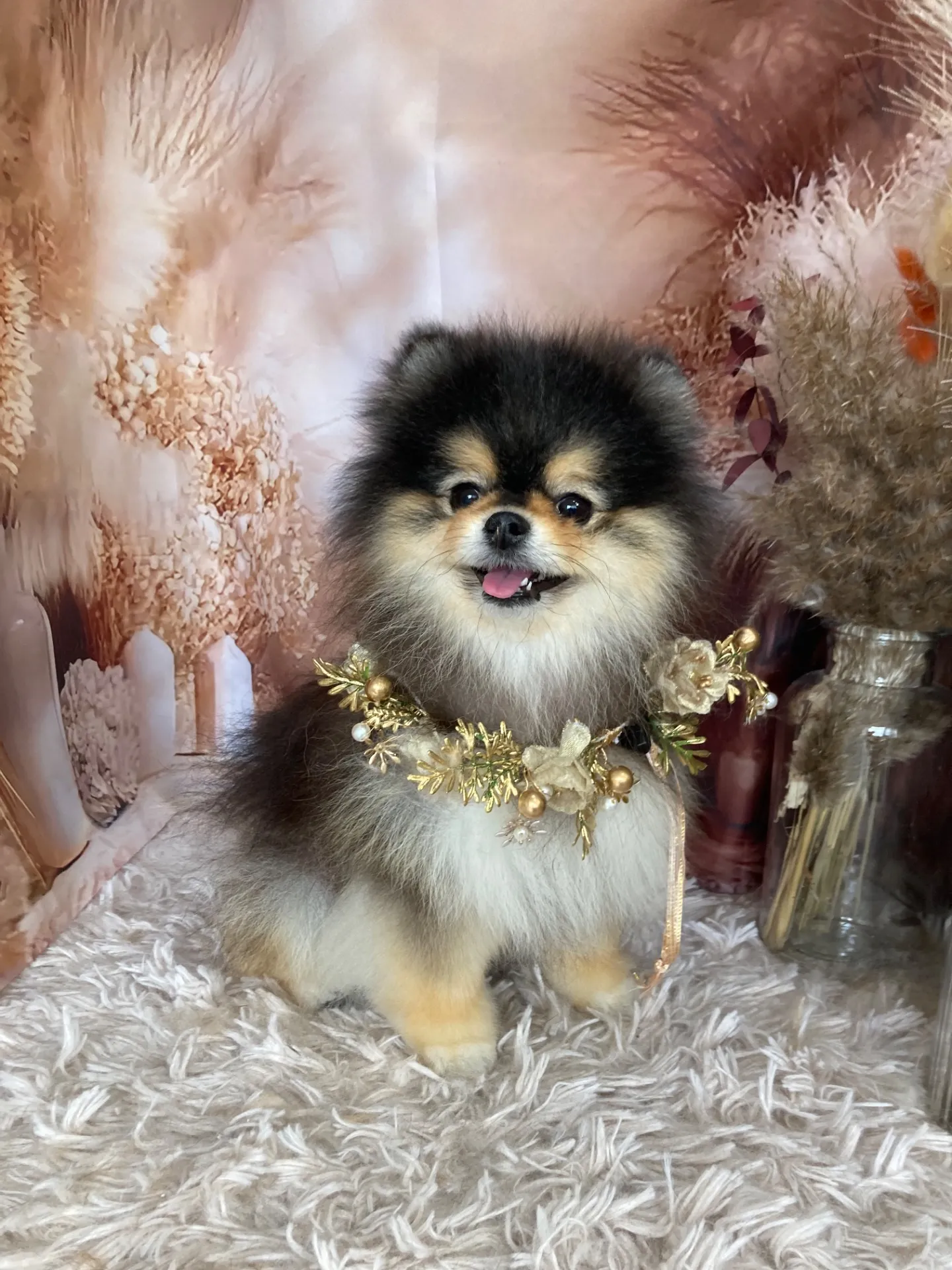 ラズベリーちゃん