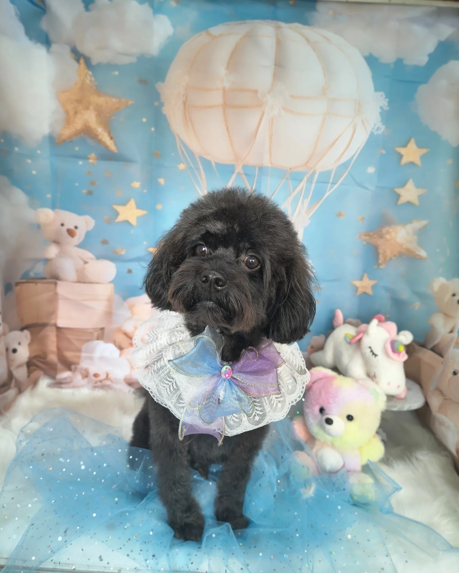 リュウノスケくん