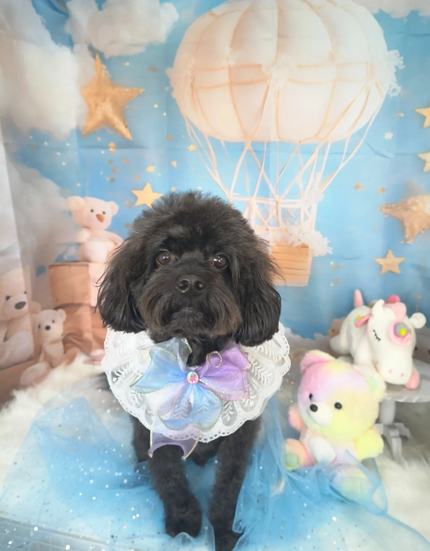 リュウノスケくん