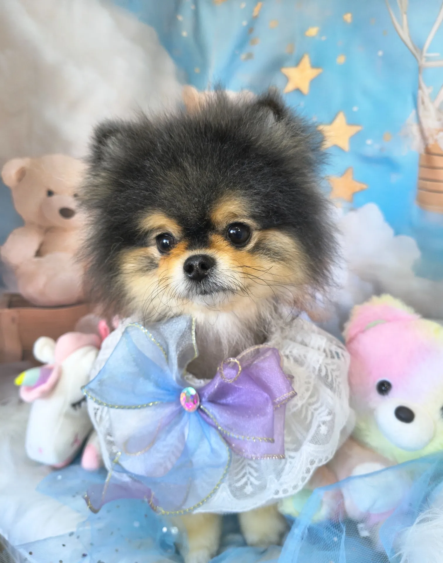 ラズベリーちゃん