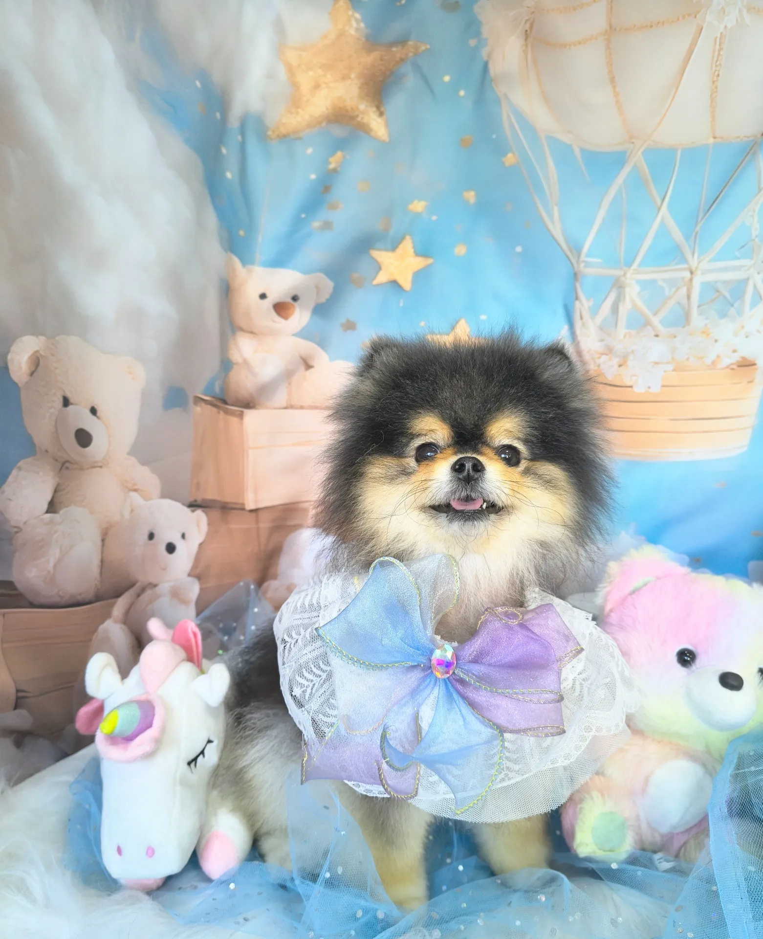 ラズベリーちゃん