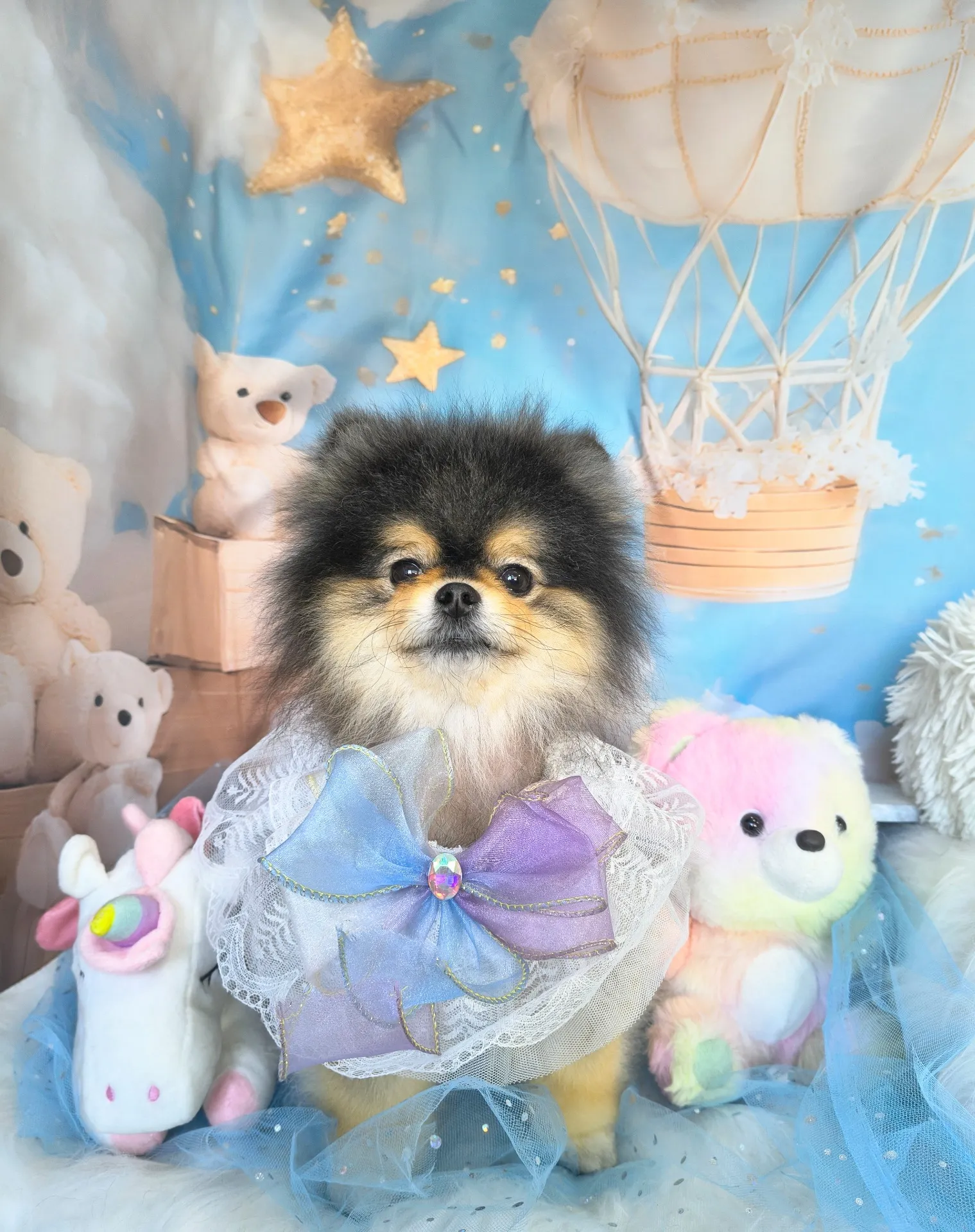 ラズベリーちゃん