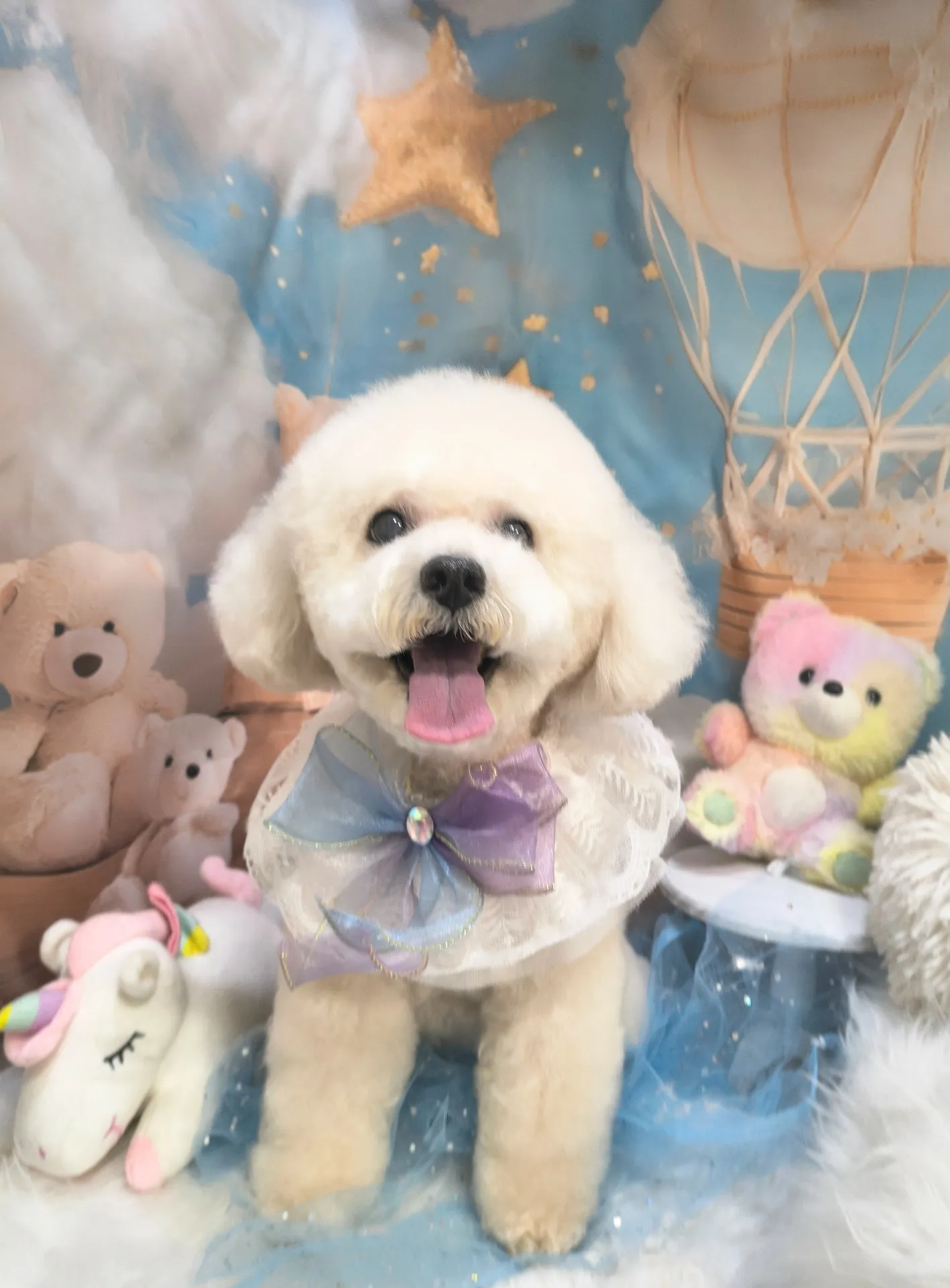 シェリーちゃん