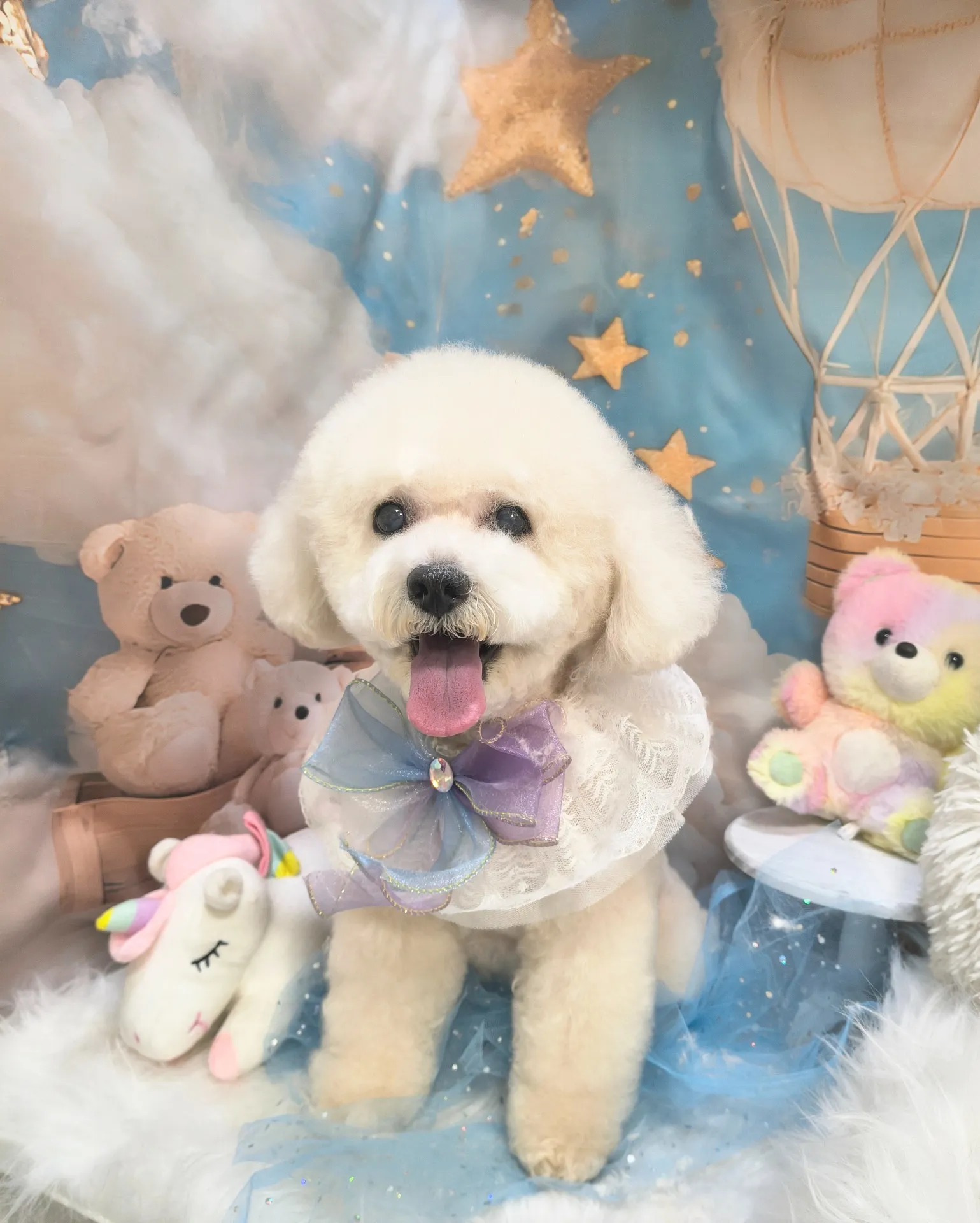 シェリーちゃん