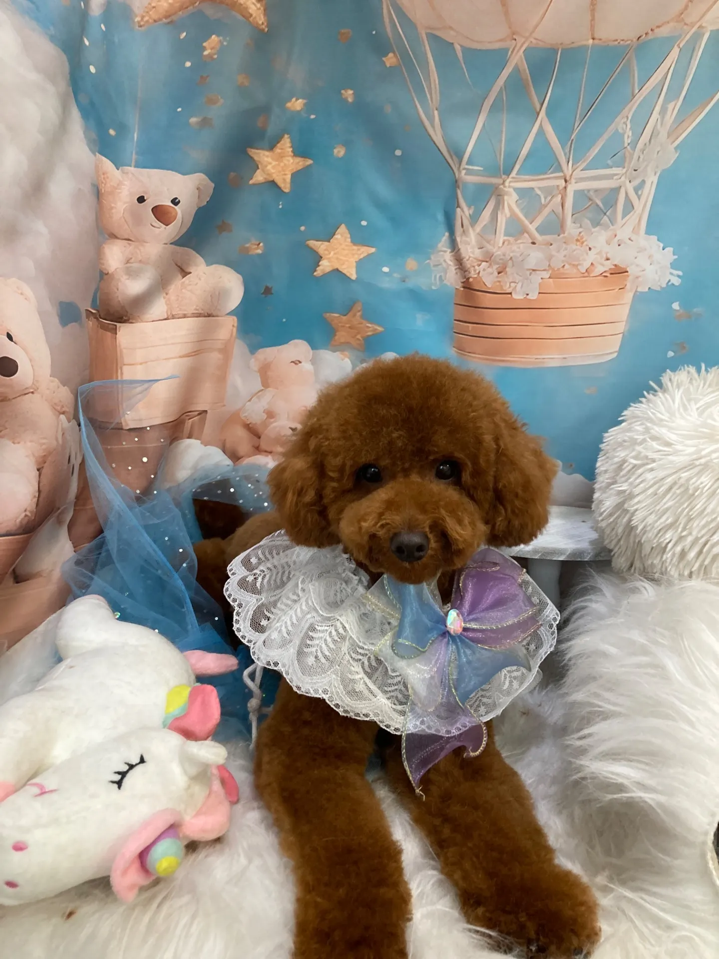 ハッピーちゃん