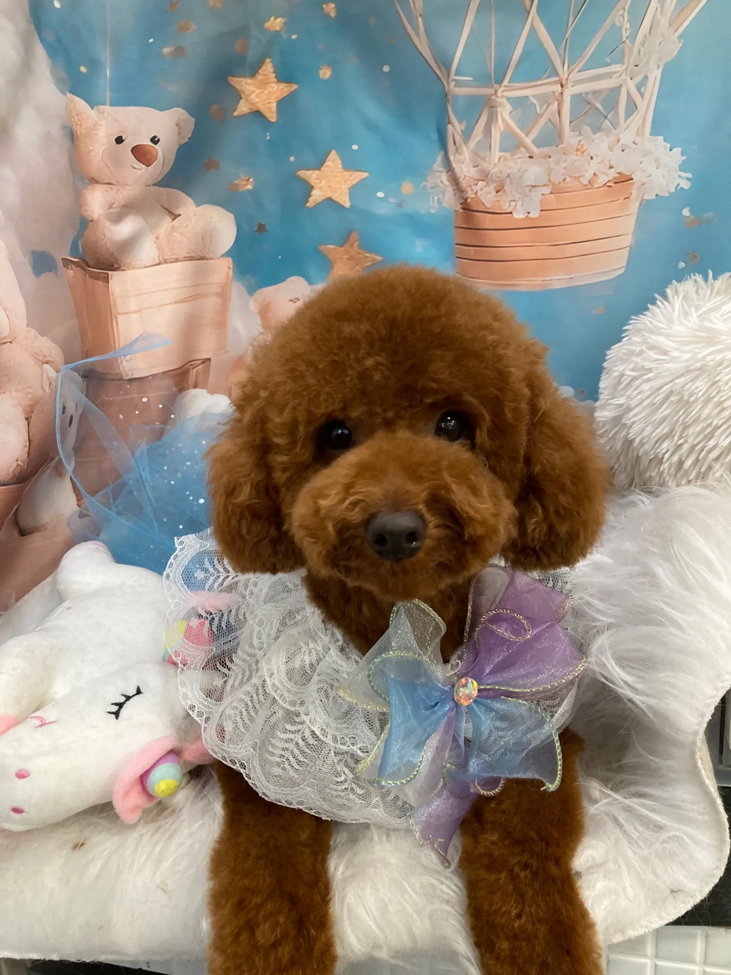 ハッピーちゃん