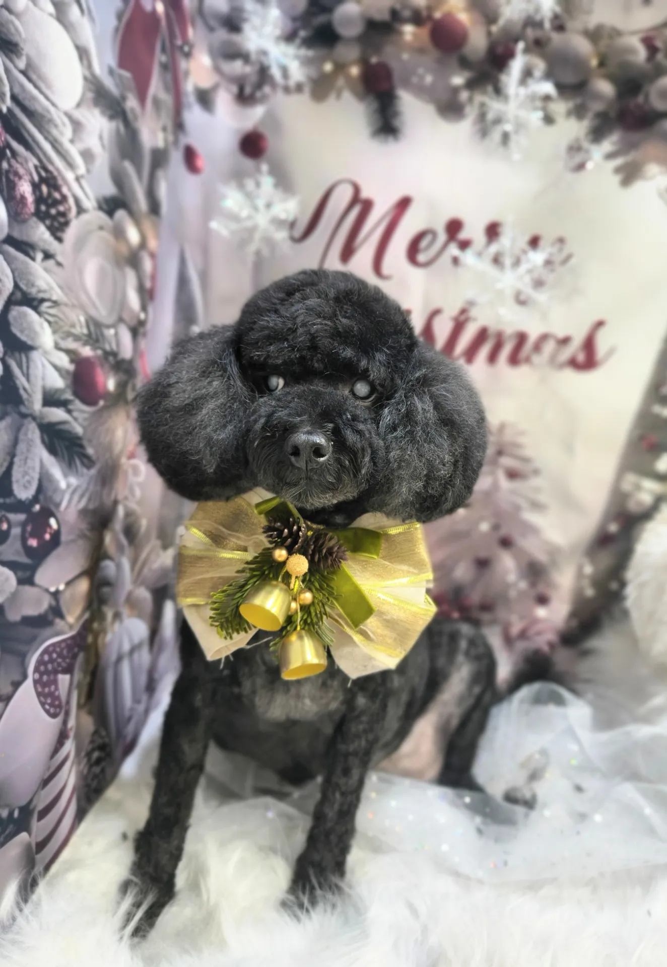 ナタリーちゃん