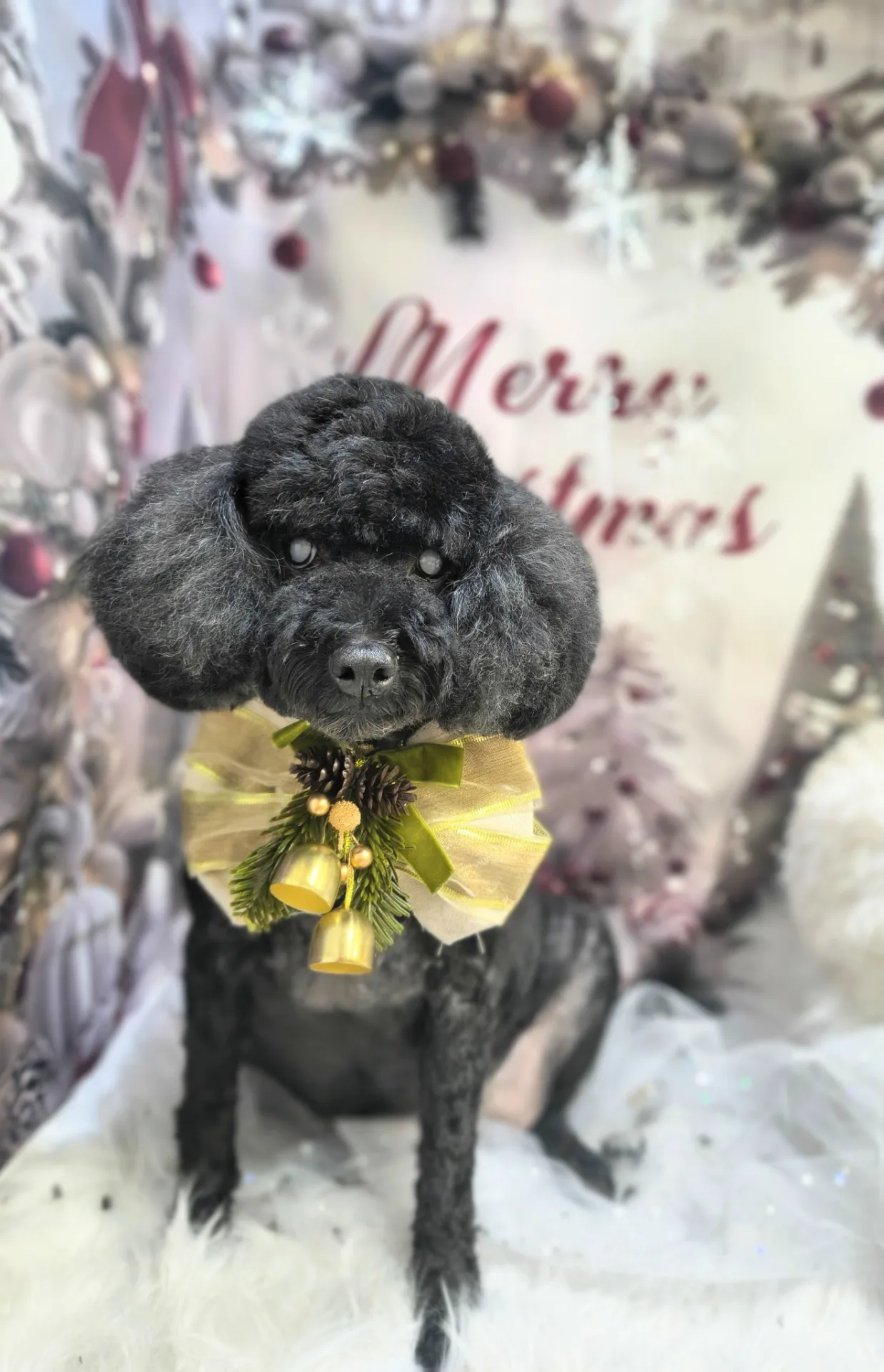 ナタリーちゃん