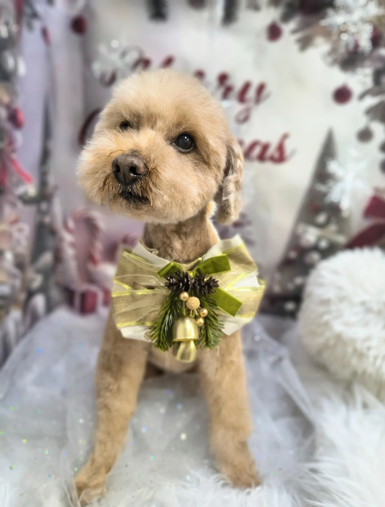 メロディーくん