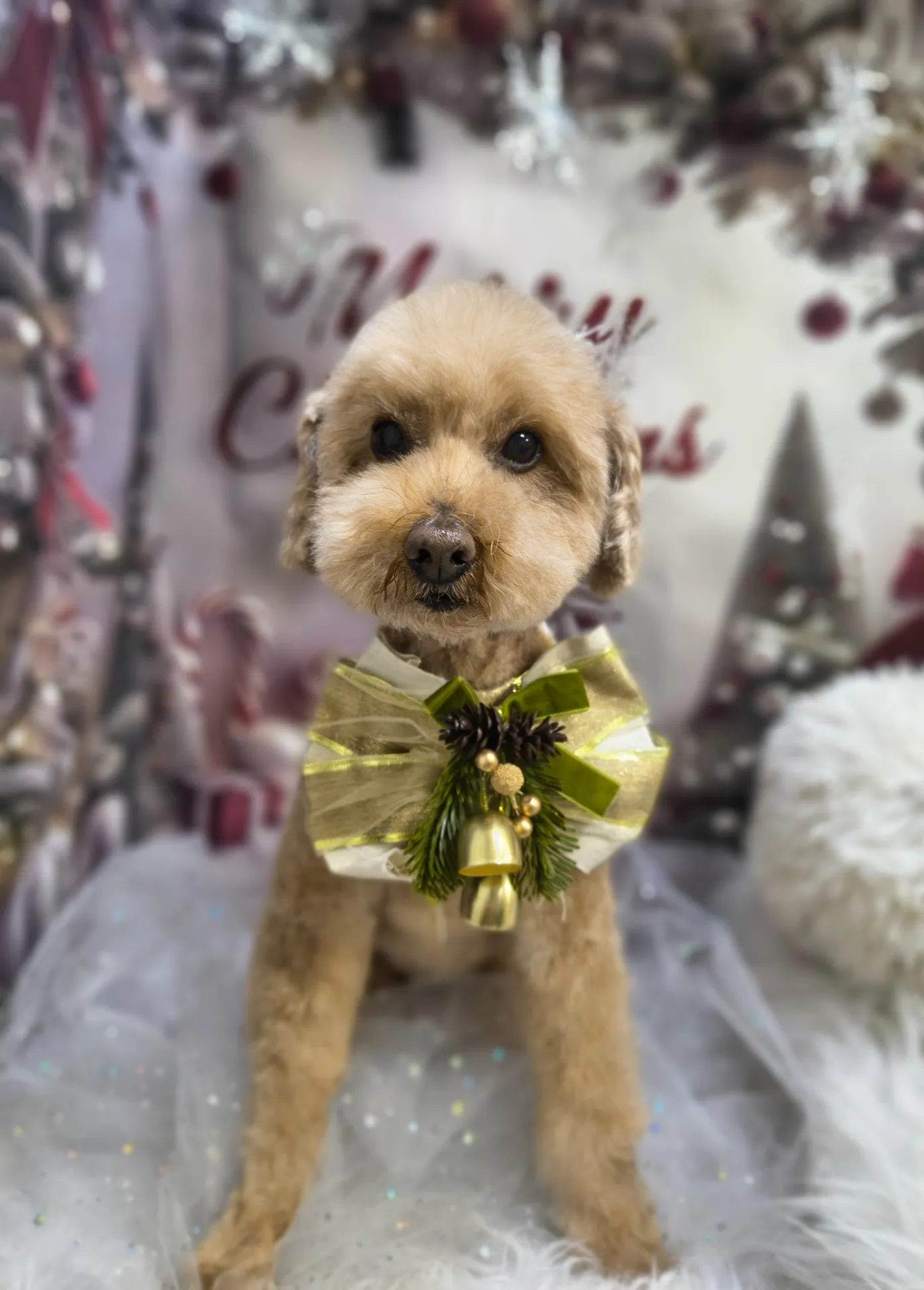 メロディーくん