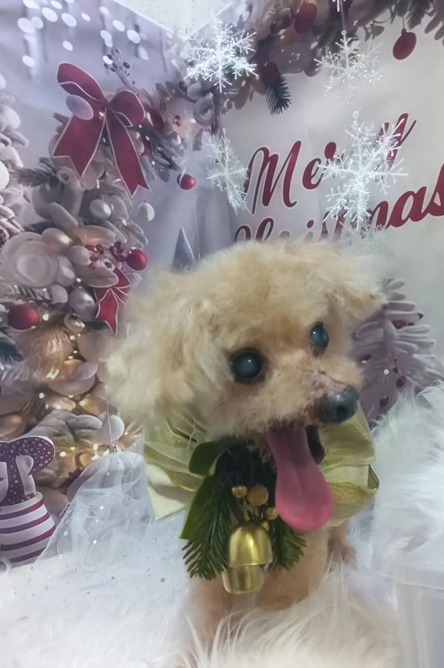 アップルちゃん