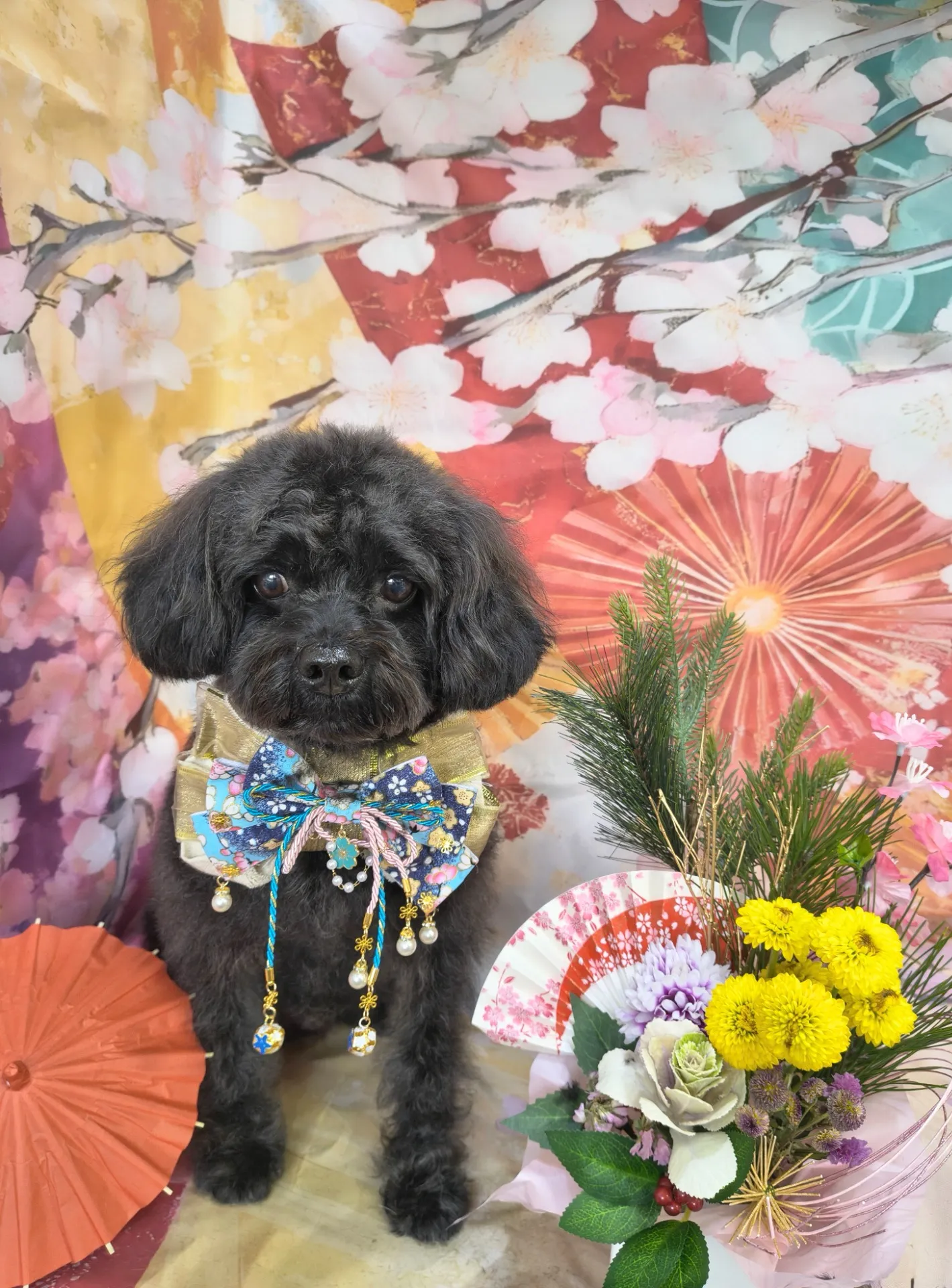 リュウノスケくん