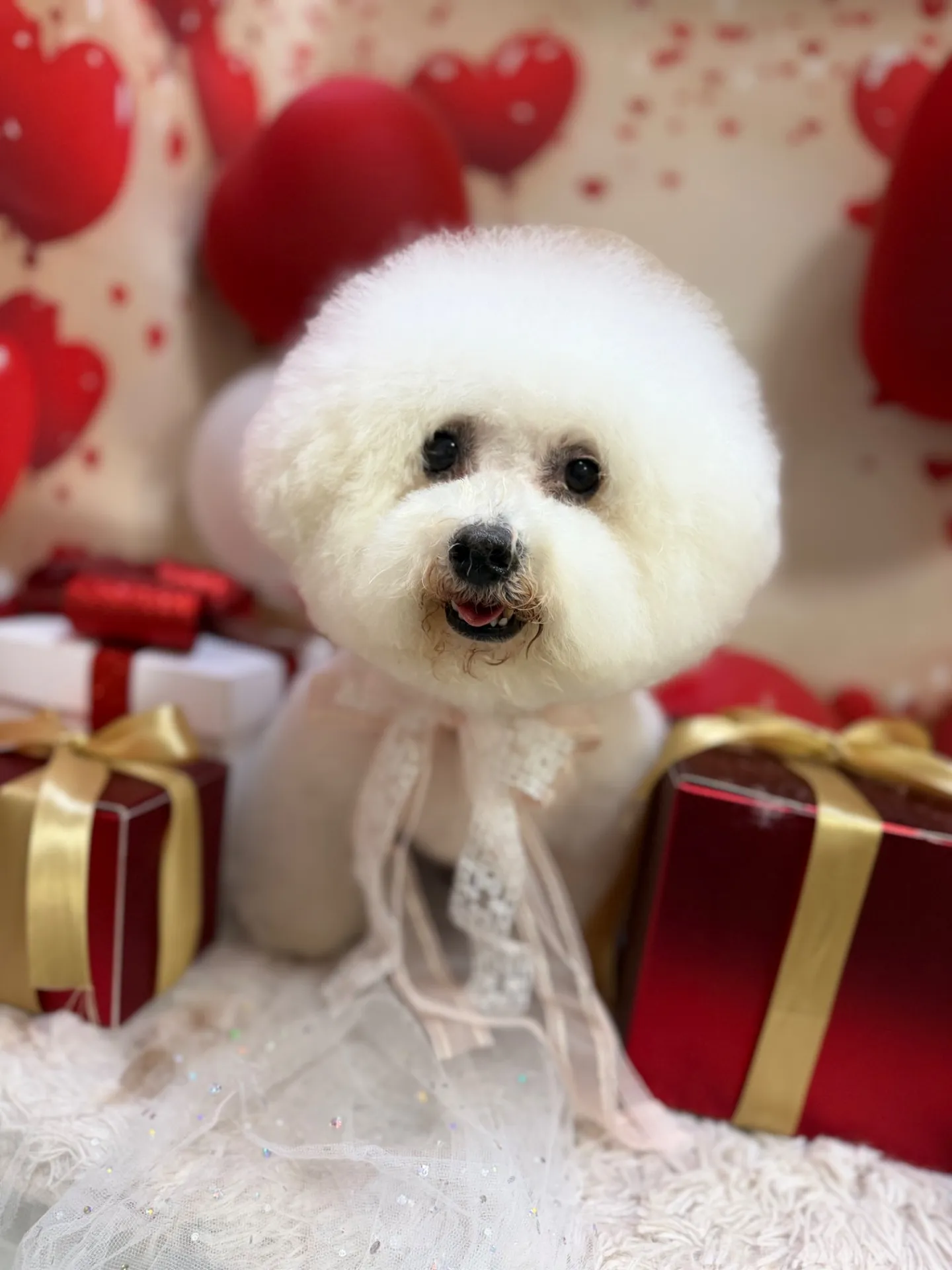 パンプキンちゃん